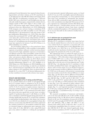 of several previously reported inflammatory genes, we found 
that IL-21 was one of the most highly expressed inflammatory 
genes among those measured (Fig. 1 a). Gene expression levels 
from arrays were normalized to interquartile spot intensity. 
Arrays did not differ systemically in gene expression levels be-fore 
or after normalization (not depicted). This increase in IL-21 
gene expression was confirmed by real-time (RT) PCR analy-sis, 
which detected a 24-fold relative increase in IL-21 gene 
expression in the ipsilateral ischemic brain tissues compared 
with the contralateral hemisphere at 24 h reperfusion (Fig. 1 b). 
IL-21 was not detectable by this method in healthy brain tis-sue 
(Fig. 1 b). 
IL-21–deficient mice are protected from acute 
neuronal injury after cerebral I/R injury 
Whether IL-21 contributes to ischemic tissue injury had not 
been directly studied. However, in the last few years it has be-come 
evident that IL-21 expression is associated with acute 
rejection in mice after kidney, heart, or liver allograft (Baan et al., 
2007; Hecker et al., 2009; Xie et al., 2010). Because these 
models also involve reperfusion of ischemic tissues, these find-ings 
support the potential role of IL-21 in I/R injury. 
We evaluated the levels of cerebral I/R injury in IL-21– 
deficient (IL-21 KO) mice. Infarct volumes in IL-21 KO mice 
were reduced to 35% of the infarct volumes observed in con-genic 
C57BL6/J WT mice as early as 24 h after tMCAO, as 
measured by triphenyltetrazolium chloride (TTC; Fig. 1 c). 
Similar effects were also seen at 4 d (not depicted) and 7 d after 
tMCAO (Fig. 1 d), indicating that IL-21 contributes to both 
immediate and delayed brain injury and suggesting that in the 
absence of IL-21 tissue repair can occur. Analysis of intracra-nial 
vascular anatomy revealed no differences between WT and 
IL-21 KO mice in the patency of the posterior communicating 
artery that would account for the observed differences in tissue 
injury (Fig. 1 g). Nor did we observe differences between WT 
and IL-21 KO mice in heart rate, or blood pressure before or 
after tMCAO (Fig. 1 h). WT and IL-21 KO CD4+ T cells, 
CD8+ T cells, and CD11b+ myeloid cells showed no difference 
in IL-2, IL-17A, IFN-, or TNF production when stimulated 
in vitro (Fig. 2, g–l). The reduction in infarct volumes corre-sponded 
with less weight loss (unpublished data), less spleen 
atrophy (Fig. 2 c), and improved neurological functioning in 
IL-21 KO mice compared with WT mice as assessed by both 
grip strength (Fig. 1 e) and Bederson (Fig. 1 f) scoring 1, 4, and 
7 d after tMCAO. 
We measured accumulation of monocytes and lympho-cytes 
in the brain after tMCAO in IL-21 KO and WT animals 
(gating strategy in Fig. 2 a). We did not observe significant dif-ferences 
in the rate of accumulation of monocytes (CD45high 
CD11b+Ly6chigh), microglia (CD45intCD11b+), B cells (B220+), 
 T cells (TCR+), NK, or NKT cells (NK1.1+) in the 
ischemic brain of WT and IL-21 KO mice after 1, 4, and 7 d 
of reperfusion (unpublished data). In contrast, as early as 1 d 
after tMCAO, IL-21 KO mice showed significantly dimin-ished 
cerebral accumulation of CD4+ T cells and CD8+ T cells 
understood. Several laboratories have reported reduced neuro-logical 
deficit and infarct volumes at 24–48 h reperfusion in 
T cell–deficient mice after tMCAO (Yilmaz and Granger, 2010). 
After tMCAO, recombination activating gene 1–deficient 
(RAG1 KO) mice, which lack T and B lymphocytes, have sig-nificantly 
smaller brain injury compared with controls; whereas, 
adoptive transfer of WT CD4+ helper T cells or CD8+ cyto­toxic 
T cells increases stroke infarct volumes within 24 h after 
ischemia in these mice (Kleinschnitz et al., 2010). Additionally, 
TCR-transgenic mice and mice lacking co-stimulatory TCR 
signaling molecules were fully susceptible to acute I/R injury, 
indicating that T cell involvement at early time points is anti-gen- 
independent (Kleinschnitz et al., 2010). These data dem-onstrate 
that conventional CD4+ or CD8+  T cells exacerbate 
acute injury after cerebral ischemia independently of TCR li-gation, 
and this effect seems to be concomitant with an early 
increase in T cell infiltration into the postischemic brain, which 
many have reported to be between 3 and 48 h (Yilmaz et al., 
2006; Gelderblom et al., 2009). 
Recent findings suggest that, in the postischemic brain, 
within hours of reperfusion T cells accumulate in postcapillary 
segments of periinfarct inflamed cerebral microvasculature 
characterized by high endothelial expression of chemokines 
and adhesion molecules. These postcapillary venules have been 
postulated to allow accumulating immune cells to activate each 
other and promote platelet adhesion in a process termed 
thrombo-inflammation (Nieswandt et al., 2011). Much research 
has been devoted to identifying T cell factors that promote 
thrombo-inflammation (Barone et al., 1997; Hedtjärn et al., 
2002; Yilmaz et al., 2006; Shichita et al., 2009; Gelderblom et al., 
2012); however, to our knowledge no study has yet identified 
the T cell–derived factors responsible for the early increase in 
infarct volumes at 24 h reperfusion. Here, we present data that 
identify IL-21 as a key CD4+ T cell–derived inflammatory fac-tor 
that contributes to increased early ischemic tissue injury. 
RESULTS AND DISCUSSION 
Robust up-regulation of IL-21 during cerebral I/R injury 
IL-21 is closely related to IL-2 and IL-15 and signals through 
the IL-21 receptor, which is comprised of an IL-21–specific 
 subunit and a common  subunit shared with IL-2, IL-7, IL-9, 
and IL-15. IL-21 is known to regulate immune responses by 
promoting antibody production, T cell–mediated immunity, 
and NK cell and CD8+ T cell cytotoxicity. Recently, others 
have shown that stress signals from necrotic tissue can induce 
rapid IL-21 production from naive T cells (Holm et al., 2009), 
and co-stimulation with TLR3 ligands during polyclonal T cell 
activation significantly increases IL-21 secretion that contributes 
to small intestine localized pediatric celiac disease (van Leeuwen 
et al., 2013). To test whether IL-21 is up-regulated in brain after 
ischemic necrosis induced by MCAO and to better understand 
the cytokines involved in T cell–mediated cerebral I/R injury, 
we measured changes in inflammatory gene expression in the 
brain within 24 h after tMCAO in mice using PCR-based 
gene array analysis. In addition to verifying the up-regulation 
596 IL-21 promotes brain injury after stroke | Clarkson et al. 
 