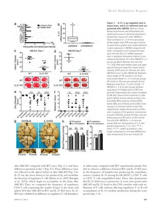 Br ief Def ini t ive Repor t 
Figure 1. IL-21 is up-regulated early in 
mouse brain, and IL-21–deficient mice are 
protected after tMCAO. GeArray S Series 
Mouse Autoimmune and Inflammatory Re-sponse 
gene array of transcripts expressed in 
pooled brain tissues 24 h after tMCAO or 
sham procedure (n = 3–6 mice per group). 
(a) Bar graphs show PCR array spot intensity 
of genes with a greater than sixfold difference 
in gene expression in tMCAO compared with 
sham, normalized to the interquartile mean 
spot intensity. (b) IL-21 mRNA expression 
level in ipsilateral hemisphere relative to con-tralateral 
hemisphere 24 h after tMCAO (n = 3 
per group). Mann-Whitney rank sum test 
*, P  0.05. Plots show median, lower, and upper 
quartile (box) and range (error bars). Infarct 
volumes of WT and IL-21 KO mice 24 h after 
tMCAO (c) and 7 d after tMCAO (d). Represen-tative 
images of TTC-stained 2-mm brain 
slices shown below (n = 5–7 mice per group). 
WT and IL-21 KO mice grip strength (e) and 
Bederson score (f) at 1, 4, and 7 d after 1 h 
tMCAO (n = 7–8 for each group). (g) Brain 
vasculature of C57BL/6 and IL-21KO mice 
perfused transcardially with carbon lampblack 
(C198-500; Thermo Fisher Scientific) in 20% 
gelatin ddH2O. Arrows indicate anterior cere-bral 
(ACA), MCA, posterior cerebral (PCA), 
basilar (BA), and vertebral arteries (VA), show-ing 
point of occlusion (white circle). High 
magnification images demonstrate no differ-ence 
in patency of the posterior communicat-ing 
artery (PComA, arrows). (h) Heart rate and 
blood pressure of WT and IL-21 KO mice be-fore 
and after tMCAO (n = 3–4 mice per 
group). Data are representative of 2–3 inde-pendent 
experiments. **, P  0.01; ***, P  
0.001; ****, P  0.0001 by Student’s t test 
(single comparison) or one-way ANOVA (mul-tiple 
comparisons). Error bars indicate SD. 
in either tissue compared with WT experimental animals. Nor 
did we observe a difference between WT and IL-21 KO mice 
in the frequency of lymphocytes producing the antiinflam-matory 
cytokine IL-10 among B cells (B220+), CD8+ T cells, 
or CD4+ T cells (unpublished data). These data demonstrate 
that IL-21 deficiency is protective at acute time points after 
tMCAO and IL-21 levels in the CNS correlate with early in-filtration 
of T cells without affecting regulatory T or B cell 
accumulation or IL-10 cytokine production during the acute 
period (day 1–4). 
after tMCAO compared with WT mice (Fig. 2 e) and these 
differences persisted at day 7 (Fig. 2 f ). These differences were 
not reflected in the spleen before or after tMCAO (Fig. 2 b). 
IL-21 has also been shown to be produced by and modulate 
the function of regulatory T cells (Peluso et al., 2007; Battaglia 
et al., 2013), which begin to accumulate in the brain after 
tMCAO. Thus, we compared the frequency of regulatory 
CD4 T cells expressing the marker Foxp3 in the brain and 
spleen 24 h after tMCAO in WT and IL-21 KO mice. IL-21 
KO mice exhibited no difference in regulatory T cell abundance 
JEM Vol. 211, No. 4 597 
 