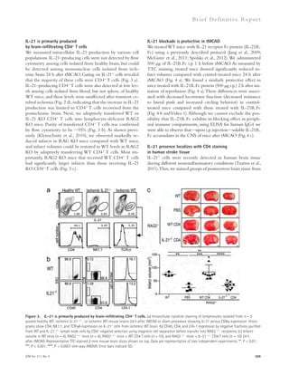 Br ief Def ini t ive Repor t 
IL-21 blockade is protective in tMCAO 
We treated WT mice with IL-21 receptor Fc protein (IL-21R. 
Fc) using a previously described protocol (Jang et al., 2009; 
McGuire et al., 2011; Spolski et al., 2012). We administered 
500 μg of IL-21R.Fc i.p. 1 h before tMCAO. As measured by 
TTC staining, treated mice showed significantly reduced in-farct 
volumes compared with control-treated mice 24 h after 
tMCAO (Fig. 4 a). We found a similarly protective effect in 
mice treated with IL-21R.Fc protein (500 μg i.p.) 2 h after ini-tiation 
of reperfusion (Fig. 4 a). These differences were associ-ated 
with decreased locomotor function (decreased resistance 
to lateral push and increased circling behavior) in control-treated 
mice compared with those treated with IL-21R.Fc 
(Fig. 4 b and Video 1). Although we cannot exclude the pos-sibility 
that IL-21R.Fc exhibits its blocking effect in periph-eral 
immune compartments, using ELISA for human IgG4 we 
were able to observe that—upon i.p. injection—soluble IL-21R. 
Fc accumulates in the CNS of mice after tMCAO (Fig. 4 c). 
IL-21 presence localizes with CD4 staining 
in human stroke tissue 
IL-21+ cells were recently detected in human brain tissue 
during different neuroinflammatory conditions (Tzartos et al., 
2011). Thus, we stained groups of postmortem brain tissue from 
IL-21 is primarily produced 
by brain-infiltrating CD4+ T cells 
We measured intracellular IL-21 production by various cell 
populations. IL-21–producing cells were not detected by flow 
cytometry among cells isolated from healthy brain, but could 
be detected among mononuclear cells isolated from isch-emic 
brain 24 h after tMCAO. Gating on IL-21+ cells revealed 
that the majority of these cells were CD4+ T cells (Fig. 3 a). 
IL-21–producing CD4+ T cells were also detected at low lev-els 
among cells isolated from blood, but not spleen, of healthy 
WT mice, and these levels were unaffected after transient ce-rebral 
ischemia (Fig. 2 d), indicating that the increase in IL-21 
production was limited to CD4+ T cells recovered from the 
postischemic brain. Next, we adoptively transferred WT or 
IL-21 KO CD4+ T cells into lymphocyte-deficient RAG2 
KO mice. Purity of transferred CD4+ T cells was confirmed 
by flow cytometry to be 95% (Fig. 3 b). As shown previ-ously 
(Kleinschnitz et al., 2010), we observed markedly re-duced 
infarcts in RAG KO mice compared with WT mice, 
and infarct volumes could be restored to WT levels in RAG2 
KO by adoptively transferring WT CD4+ T cells. Most im-portantly, 
RAG2 KO mice that received WT CD4+ T cells 
had significantly larger infarcts than those receiving IL-21 
KO CD4+ T cells (Fig. 3 c). 
Figure 3. IL-21 is primarily produced by brain-infiltrating CD4+ T cells. (a) Intracellular cytokine staining of lymphocytes isolated from n = 5 
pooled healthy WT, ischemic IL-21/, or ischemic WT mouse brains 24 h after tMCAO or sham procedure showing IL-21 versus CD8 expression. Histo-grams 
show CD4, NK1.1, and TCR expression on IL-21+ cells from ischemic WT brain. (b) CD45, CD4, and LFA-1 expression by negative fractions purified 
from WT and IL-21/ lymph node cells by CD4+ negative selection using magnetic cell separation before transfer into RAG2/ recipients. (c) Infarct 
volume in WT mice (n = 4), RAG2/ mice (n = 4), RAG2/ mice + WT CD4 T cells (n = 10), and RAG2/ mice + IL-21/ CD4 T cells (n = 10) 24 h 
after tMCAO. Representative TTC-stained 2-mm mouse brain slices shown on top. Data are representative of two independent experiments. **, P  0.01; 
***, P  0.001; ****, P  0.0001 one-way ANOVA. Error bars indicate SD. 
JEM Vol. 211, No. 4 599 
 