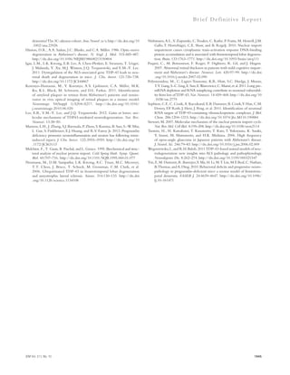 Br ief Def ini t ive Repor t 
dementia? The 3C-alienor cohort. Ann. Neurol.:n/a. http://dx.doi.org/10 
.1002/ana.23926 
Hinton, D.R., A.A. Sadun, J.C. Blanks, and C.A. Miller. 1986. Optic-nerve 
degeneration in Alzheimer’s disease. N. Engl. J. Med. 315:485–487. 
http://dx.doi.org/10.1056/NEJM198608213150804 
Igaz, L.M., L.K. Kwong, E.B. Lee, A. Chen-Plotkin, E. Swanson, T. Unger, 
J. Malunda, Y. Xu, M.J. Winton, J.Q. Trojanowski, and V.M.-Y. Lee. 
2011. Dysregulation of the ALS-associated gene TDP-43 leads to neu-ronal 
death and degeneration in mice. J. Clin. Invest. 121:726–738. 
http://dx.doi.org/10.1172/JCI44867 
Koronyo-Hamaoui, M., Y. Koronyo, A.V. Ljubimov, C.A. Miller, M.K. 
Ko, K.L. Black, M. Schwartz, and D.L. Farkas. 2011. Identification 
of amyloid plaques in retinas from Alzheimer’s patients and nonin-vasive 
in vivo optical imaging of retinal plaques in a mouse model. 
Neuroimage. 54(Suppl 1):S204–S217. http://dx.doi.org/10.1016/ 
j.neuroimage.2010.06.020 
Lee, E.B., V.M.-Y. Lee, and J.Q. Trojanowski. 2012. Gains or losses: mo-lecular 
mechanisms of TDP43-mediated neurodegeneration. Nat. Rev. 
Neurosci. 13:38–50. 
Martens, L.H., J. Zhang, S.J. Barmada, P. Zhou, S. Kamiya, B. Sun, S.-W. Min, 
L. Gan, S. Finkbeiner, E.J. Huang, and R.V. Farese Jr. 2012. Progranulin 
deficiency promotes neuroinflammation and neuron loss following toxin-induced 
injury. J. Clin. Invest. 122:3955–3959. http://dx.doi.org/10 
.1172/JCI63113 
Melchior, F., T. Guan, B. Paschal, and L. Gerace. 1995. Biochemical and struc-tural 
analysis of nuclear protein import. Cold Spring Harb. Symp. Quant. 
Biol. 60:707–716. http://dx.doi.org/10.1101/SQB.1995.060.01.077 
Neumann, M., D.M. Sampathu, L.K. Kwong, A.C. Truax, M.C. Micsenyi, 
T.T. Chou, J. Bruce, T. Schuck, M. Grossman, C.M. Clark, et al. 
2006. Ubiquitinated TDP-43 in frontotemporal lobar degeneration 
and amyotrophic lateral sclerosis. Science. 314:130–133. http://dx.doi 
.org/10.1126/science.1134108 
Nishimura, A.L., V. Zupunski, C. Troakes, C. Kathe, P. Fratta, M. Howell, J.M. 
Gallo, T. Hortobágyi, C.E. Shaw, and B. Rogelj. 2010. Nuclear import 
impairment causes cytoplasmic trans-activation response DNA-binding 
protein accumulation and is associated with frontotemporal lobar degenera-tion. 
Brain. 133:1763–1771. http://dx.doi.org/10.1093/brain/awq111 
Paquet, C., M. Boissonnot, F. Roger, P. Dighiero, R. Gil, and J. Hugon. 
2007. Abnormal retinal thickness in patients with mild cognitive impair-ment 
and Alzheimer’s disease. Neurosci. Lett. 420:97–99. http://dx.doi 
.org/10.1016/j.neulet.2007.02.090 
Polymenidou, M., C. Lagier-Tourenne, K.R. Hutt, S.C. Huelga, J. Moran, 
T.Y. Liang, S.-C. Ling, E. Sun, E. Wancewicz, C. Mazur, et al. 2011. Long pre-mRNA 
depletion and RNA missplicing contribute to neuronal vulnerabil-ity 
from loss of TDP-43. Nat. Neurosci. 14:459–468. http://dx.doi.org/10 
.1038/nn.2779 
Sephton, C.F., C. Cenik, A. Kucukural, E.B. Dammer, B. Cenik, Y. Han, C.M. 
Dewey, F.P. Roth, J. Herz, J. Peng, et al. 2011. Identification of neuronal 
RNA targets of TDP-43-containing ribonucleoprotein complexes. J. Biol. 
Chem. 286:1204–1215. http://dx.doi.org/10.1074/jbc.M110.190884 
Stewart, M. 2007. Molecular mechanism of the nuclear protein import cycle. 
Nat. Rev. Mol. Cell Biol. 8:195–208. http://dx.doi.org/10.1038/nrm2114 
Tamura, H., H. Kawakami, T. Kanamoto, T. Kato, T. Yokoyama, K. Sasaki, 
Y. Izumi, M. Matsumoto, and H.K. Mishima. 2006. High frequency 
of open-angle glaucoma in Japanese patients with Alzheimer’s disease. 
J. Neurol. Sci. 246:79–83. http://dx.doi.org/10.1016/j.jns.2006.02.009 
Wegorzewska, I., and R.H. Baloh. 2011. TDP-43-based animal models of neu-rodegeneration: 
new insights into ALS pathology and pathophysiology. 
Neurodegener. Dis. 8:262–274. http://dx.doi.org/10.1159/000321547 
Yin, F., M. Dumont, R. Banerjee, Y. Ma, H. Li, M.T. Lin, M.F. Beal, C. Nathan, 
B. Thomas, and A. Ding. 2010. Behavioral deficits and progressive neuro-pathology 
in progranulin-deficient mice: a mouse model of frontotem-poral 
dementia. FASEB J. 24:4639–4647. http://dx.doi.org/10.1096/ 
fj.10-161471 
JEM Vol. 211, No. 10 1945 
 