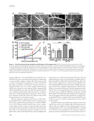 Figure 3. RU-505 prevented altered thrombosis and fibrinolysis in AD transgenic mice. (A) After craniotomy, three concentrations of FeCl3 
(5, 10, and 15%) were incrementally administered to the surface of the brains of vehicle- or RU-505–treated WT and Tg6799 mice (Videos 1–4), and clotting 
of cerebral blood vessels (20 μM) was imaged (bars, 200 μm). Representative intravital images shows the surface of the brains of vehicle- or RU-505– 
treated WT and Tg6799 mice before FeCl3 treatments or 5 min after 15% FeCl3 treatments. (B and C) Frequency of clotted vessels was calculated at in-creasing 
concentrations of FeCl3 (B) and was plotted for 15% FeCl3 treatment (C; ***, P  0.001; n = 5 mice per group). All values are means and SEM. 
longer latency to reach the closed target hole (Fig. 5 D) and 
significantly fewer visits to the target hole compared with ve-hicle- 
treated WT and RU-505–treated Tg6799 mice (Fig. 5 E). 
These results suggested that vehicle-treated Tg6799 mice 
have impaired spatial learning and memory, and RU-505 treat-ment 
restored the cognitive impairment of Tg6799 mice. 
When we measured total distance traveled during probe trials, 
Tg6799 mice moved significantly less than WT mice. How-ever, 
there was no significant difference in distance traveled 
between RU-505–treated and untreated Tg6799 mice (Fig. 5 F). 
This result suggests that the better performance of RU-505– 
treated Tg6799 mice compared with untreated Tg6799 mice 
is likely caused by memory improvement and not effects 
on locomotion. 
To further address any possible issue of hypoactivity in the 
Tg6799 mice and to test whether RU-505 treatment had a 
similar effect on a different strain of AD transgenic mice, we 
administered RU-505 to 4-mo-old TgCRND8 mice (Chishti 
et al., 2001) for 3 mo (analyzed at 7 mo-of-age) as a pilot ex-periment. 
During training, RU-505 treatment did not lead to 
Results are from two independent experiments. 
effects on AD mice. 7-mo-old Tg6799 mice treated for 3 mo 
with RU-505 were tested using contextual fear conditioning 
to assess possible cognitive changes. RU-505 treatment had 
no effect on baseline freezing behavior in WT and Tg6799 
mice (Fig. 5 A). When we evaluated contextual memory of 
Tg6799 and WT mice 24 h after training, vehicle-treated 
Tg6799 mice showed a severe memory deficit compared with 
vehicle-treated WT mice (Fig. 5 B). RU-505–treated Tg6799 
mice exhibited significantly improved memory compared 
with their vehicle-treated AD counterparts, whereas long-term 
treatment of RU-505 in WT mice did not impact basal 
freezing behavior or contextual memory. 
We also explored cognitive performance of RU-505– 
treated Tg6799 mice with the Barnes maze, a behavioral test 
that assesses spatial learning and memory in rodents (Walker 
et al., 2011). Vehicle-treated Tg6799 mice took a signifi-cantly 
longer amount of time to find the target hole com-pared 
with vehicle-treated WT and RU-505–treated Tg6799 
mice (Fig. 5 C). During the memory retention test in the 
probe trials, vehicle-treated Tg6799 mice also had significantly 
1054 A-fibrin interaction inhibitor as AD treatment | Ahn et al. 
 