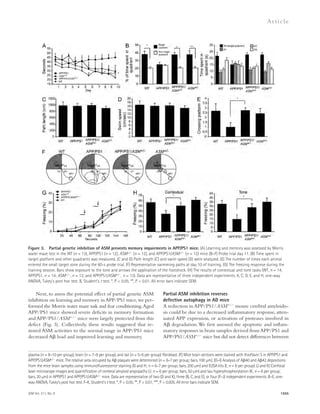 Figure 3. Partial genetic inhibition of ASM prevents memory impairments in APP/PS1 mice. (A) Learning and memory was assessed by Morris 
water maze test in the WT (n = 13), APP/PS1 (n = 12), ASM+/ (n = 12), and APP/PS1/ASM+/ (n = 12) mice (B–F) Probe trial day 11. (B) Time spent in 
target platform and other quadrants was measured. (C and D) Path length (C) and swim speed (D) were analyzed. (E) The number of times each animal 
entered the small target zone during the 60-s probe trial. (F) Representative swimming paths at day 10 of training. (G) The freezing response during the 
training session. Bars show exposure to the tone and arrows the application of the footshock. (H) The results of contextual and tone tasks (WT, n = 14; 
APP/PS1, n = 14; ASM+/, n = 13; and APP/PS1/ASM+/, n = 13). Data are representative of three independent experiments. A, C, D, E, and H, one-way 
ANOVA, Tukey’s post hoc test. B, Student’s t test. *, P  0.05; **, P  0.01. All error bars indicate SEM. 
JEM Vol. 211, No. 8 
Ar t icle 
1555 
Next, to assess the potential effect of partial genetic ASM 
inhibition on learning and memory in APP/PS1 mice, we per-formed 
the Morris water maze task and fear conditioning. Aged 
APP/PS1 mice showed severe deficits in memory formation 
and APP/PS1/ASM+/ mice were largely protected from this 
defect (Fig. 3). Collectively, these results suggested that re-stored 
ASM activities to the normal range in APP/PS1 mice 
decreased A load and improved learning and memory. 
Partial ASM inhibition reverses 
defective autophagy in AD mice 
A reduction in APP/PS1/ASM+/ mouse cerebral amyloido-sis 
could be due to a decreased inflammatory response, atten-uated 
APP expression, or activation of proteases involved in 
A degradation. We first assessed the apoptotic and inflam-matory 
responses in brain samples derived from APP/PS1 and 
APP/PS1/ASM+/ mice but did not detect differences between 
plasma (n = 8–10 per group), brain (n = 7–9 per group), and tail (n = 5–6 per group) fibroblast. (F) Mice brain sections were stained with thioflavin S in APP/PS1 and 
APP/PS1/ASM+/ mice. The relative area occupied by A plaques were determined (n = 6–7 per group; bars, 100 μm). (G–I) Analysis of A40 and A42 depositions 
from the mice brain samples using immunofluorescence staining (G and H; n = 6–7 per group; bars, 200 μm) and ELISA kits (I; n = 8 per group). (J and K) Confocal 
laser microscope images and quantification of cerebral amyloid angiopathy (J; n = 6 per group; bars, 50 μm) and tau hyperphosphorylation (K; n = 6 per group; 
bars, 20 μm) in APP/PS1 and APP/PS1/ASM+/ mice. Data are representative of two (D and K), three (B, C, and E), or four (F–J) independent experiments. B–E, one-way 
ANOVA, Tukey’s post hoc test. F–K, Student’s t test. *, P  0.05; **, P  0.01; ***, P  0.005. All error bars indicate SEM. 
 