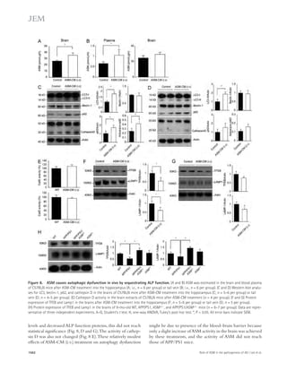 Figure 8. ASM causes autophagic dysfunction in vivo by sequestrating ALP function. (A and B) ASM was estimated in the brain and blood plasma 
of C57BL/6 mice after ASM-CM treatment into the hippocampus (A; i.c., n = 6 per group) or tail vein (B; i.v., n = 6 per group). (C and D) Western blot analy­ses 
for LC3, beclin-1, p62, and cathepsin D in the brains of C57BL/6 mice after ASM-CM treatment into the hippocampus (C; n = 5–6 per group) or tail 
vein (D; n = 4–5 per group). (E) Cathepsin D activity in the brain extracts of C57BL/6 mice after ASM-CM treatment (n = 4 per group). (F and G) Protein 
expression of TFEB and Lamp1 in the brains after ASM-CM treatment into the hippocampus (F; n = 5–6 per group) or tail vein (G; n = 5 per group). 
(H) Protein expression of TFEB and Lamp1 in the brains of 9-mo-old WT, APP/PS1, ASM+/, and APP/PS1/ASM+/ mice (n = 6–7 per group). Data are repre-sentative 
of three independent experiments. A–G, Student’s t test. H, one-way ANOVA, Tukey’s post hoc test. *, P  0.05. All error bars indicate SEM. 
levels and decreased ALP function proteins, this did not reach 
statistical significance (Fig. 8, D and G). The activity of cathep-sin 
D was also not changed (Fig. 8 E). These relatively modest 
effects of ASM-CM (i.v.) treatment on autophagy dysfunction 
might be due to presence of the blood–brain barrier because 
only a slight increase of ASM activity in the brain was achieved 
by these treatments, and the activity of ASM did not reach 
those of APP/PS1 mice. 
1562 Role of ASM in the pathogenesis of AD | Lee et al. 
 