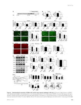 Figure 9. Pharmacological restoration of ASM to the normal range improves pathology in AD mice. (A) Protocol of AMI treatment in APP/PS1 
mice. (B) ASM was estimated in the blood plasma (n = 12–14 per group) and brain (n = 9–10 per group) of APP/PS1 mice after AMI treatment. (C) Sphin-gomyelin, 
ceramide, and AC were determined using UPLC based methods in the plasma (n = 9 per group) and brain (n = 8 per group). (D) Mice brain sec-tions 
were stained with thioflavin S to detect A (bars, 200 μm). The relative area occupied by A plaques were determined (n = 6 per group). (E–G) A40 
JEM Vol. 211, No. 8 
Ar t icle 
1563 
 