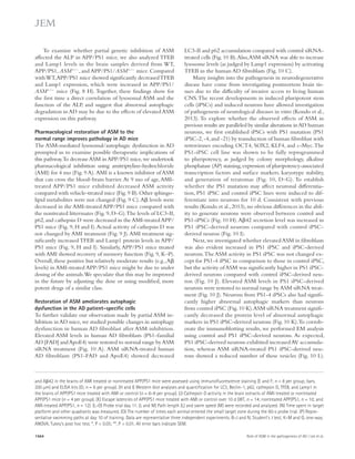 To examine whether partial genetic inhibition of ASM 
affected the ALP in APP/PS1 mice, we also analyzed TFEB 
and Lamp1 levels in the brain samples derived from WT, 
APP/PS1, ASM+/, and APP/PS1/ASM+/ mice. Compared 
with WT, APP/PS1 mice showed significantly decreased TFEB 
and Lamp1 expression, which were increased in APP/PS1/ 
ASM+/ mice (Fig. 8 H). Together, these findings show for 
the first time a direct correlation of lysosomal ASM and the 
function of the ALP, and suggest that abnormal autophagic 
degradation in AD may be due to the effects of elevated ASM 
expression on this pathway. 
Pharmacological restoration of ASM to the 
normal range improves pathology in AD mice 
The ASM-mediated lysosomal/autophagic dysfunction in AD 
prompted us to examine possible therapeutic implications of 
this pathway. To decrease ASM in APP/PS1 mice, we undertook 
pharmacological inhibition using amitriptyline-hydrochloride 
(AMI) for 4 mo (Fig. 9 A). AMI is a known inhibitor of ASM 
that can cross the blood–brain barrier. At 9 mo of age, AMI-treated 
APP/PS1 mice exhibited decreased ASM activity 
compared with vehicle-treated mice (Fig. 9 B). Other sphingo-lipid 
metabolites were not changed (Fig. 9 C). A levels were 
decreased in the AMI-treated APP/PS1 mice compared with 
the nontreated littermates (Fig. 9, D–G). The levels of LC3-II, 
p62, and cathepsin D were decreased in the AMI-treated APP/ 
PS1 mice (Fig. 9, H and I). Actual activity of cathepsin D was 
not changed by AMI treatment (Fig. 9 J). AMI treatment sig-nificantly 
increased TFEB and Lamp1 protein levels in APP/ 
PS1 mice (Fig. 9, H and I). Similarly, APP/PS1 mice treated 
with AMI showed recovery of memory function (Fig. 9, K–P). 
Overall, these positive but relatively moderate results (e.g., A 
levels) in AMI-treated APP/PS1 mice might be due to under 
dosing of the animals. We speculate that this may be improved 
in the future by adjusting the dose or using modified, more 
potent drugs of a similar class. 
Restoration of ASM ameliorates autophagic 
dysfunction in the AD patient–specific cells 
To further validate our observation made by partial ASM in-hibition 
in AD mice, we studied possible changes in autophagy 
dysfunction in human AD fibroblast after ASM inhibition. 
Elevated ASM levels in human AD fibroblasts (PS1–familial 
AD [FAD] and ApoE4) were restored to normal range by ASM 
siRNA treatment (Fig. 10 A). ASM siRNA-treated human 
AD fibroblasts (PS1-FAD and ApoE4) showed decreased 
LC3-II and p62 accumulation compared with control siRNA-treated 
cells (Fig. 10 B). Also, ASM siRNA was able to increase 
lysosome levels (as judged by Lamp1 expression) by activating 
TFEB in the human AD fibroblasts (Fig. 10 C). 
Many insights into the pathogenesis in neurodegenerative 
disease have come from investigating postmortem brain tis-sues 
due to the difficulty of invasive access to living human 
CNS. The recent developments in induced pluripotent stem 
cells (iPSCs) and induced neurons have allowed investigation 
of pathogenesis of neurological diseases in vitro (Kondo et al., 
2013). To explore whether the observed effects of ASM in 
previous results are paralleled by similar alterations in AD human 
neurons, we first established iPSCs with PS1 mutation (PS1 
iPSC-2, -4, and -21) by transduction of human fibroblast with 
retroviruses encoding OCT4, SOX2, KLF4, and c-Myc. The 
PS1-iPSC cell line was shown to be fully reprogrammed 
to pluripotency, as judged by colony morphology, alkaline 
phosphatase (AP) staining, expression of pluripotency-associated 
transcription factors and surface markers, karyotype stability, 
and generation of teratomas (Fig. 10, D–G). To establish 
whether the PS1 mutation may affect neuronal differentia-tion, 
PS1 iPSC and control iPSC lines were induced to dif-ferentiate 
into neurons for 10 d. Consistent with previous 
results (Kondo et al., 2013), no obvious differences in the abil-ity 
to generate neurons were observed between control and 
PS1-iPSCs (Fig. 10 H). A42 secretion level was increased in 
PS1 iPSC-derived neurons compared with control iPSC-derived 
neuron (Fig. 10 I). 
Next, we investigated whether elevated ASM in fibroblasts 
was also evident increased in PS1 iPSC and iPSC-derived 
neurons. The ASM activity in PS1 iPSC was not changed ex-cept 
for PS1-4 iPSC in comparison to those in control iPSC, 
but the activity of ASM was significantly higher in PS1 iPSC-derived 
neurons compared with control iPSC-derived neu-ron 
(Fig. 10 J). Elevated ASM levels in PS1 iPSC-derived 
neurons were restored to normal range by ASM siRNA treat-ment 
(Fig. 10 J). Neurons from PS1-4 iPSCs also had signifi-cantly 
higher abnormal autophagic markers than neurons 
from control iPSC (Fig. 10 K). ASM siRNA treatment signifi­cantly 
decreased the protein level of abnormal autophagic 
markers in PS1 iPSC-derived neurons (Fig. 10 K). To corrob-orate 
the immunoblotting results, we performed EM analysis 
using control and PS1 iPSC-derived neurons. As expected, 
PS1 iPSC-derived neurons exhibited increased AV accumula-tion, 
whereas ASM siRNA-treated PS1 iPSC-derived neu-rons 
showed a reduced number of these vesicles (Fig. 10 L). 
and A42 in the brains of AMI treated or nontreated APP/PS1 mice were assessed using immunofluorescence staining (E and F; n = 8 per group; bars, 
200 μm) and ELISA kits (G; n = 6 per group). (H and I) Western blot analyses and quantification for LC3, Beclin-1, p62, cathepsin D, TFEB, and Lamp1 in 
the brains of APP/PS1 mice treated with AMI or control (n = 6–8 per group). (J) Cathepsin D activity in the brain extracts of AMI-treated or nontreated 
APP/PS1 mice (n = 4 per group). (K) Escape latencies of APP/PS1 mice treated with AMI or control over 10 d (WT, n = 14; nontreated APP/PS1, n = 10; and 
AMI-treated APP/PS1, n = 12). (L–O) Probe trial day 11. (L and M) Path length (L) and swim speed (M) were recorded and analyzed. (N) Time spent in target 
platform and other quadrants was measured. (O) The number of times each animal entered the small target zone during the 60-s probe trial. (P) Repre-sentative 
swimming paths at day 10 of training. Data are representative three independent experiments. B–J and N, Student’s t test; K–M and O, one-way 
ANOVA, Tukey’s post hoc test. *, P  0.05; **, P  0.01. All error bars indicate SEM. 
1564 Role of ASM in the pathogenesis of AD | Lee et al. 
 