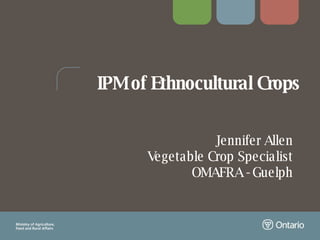 IPM of Ethnocultural Crops Jennifer Allen Vegetable Crop Specialist OMAFRA - Guelph 