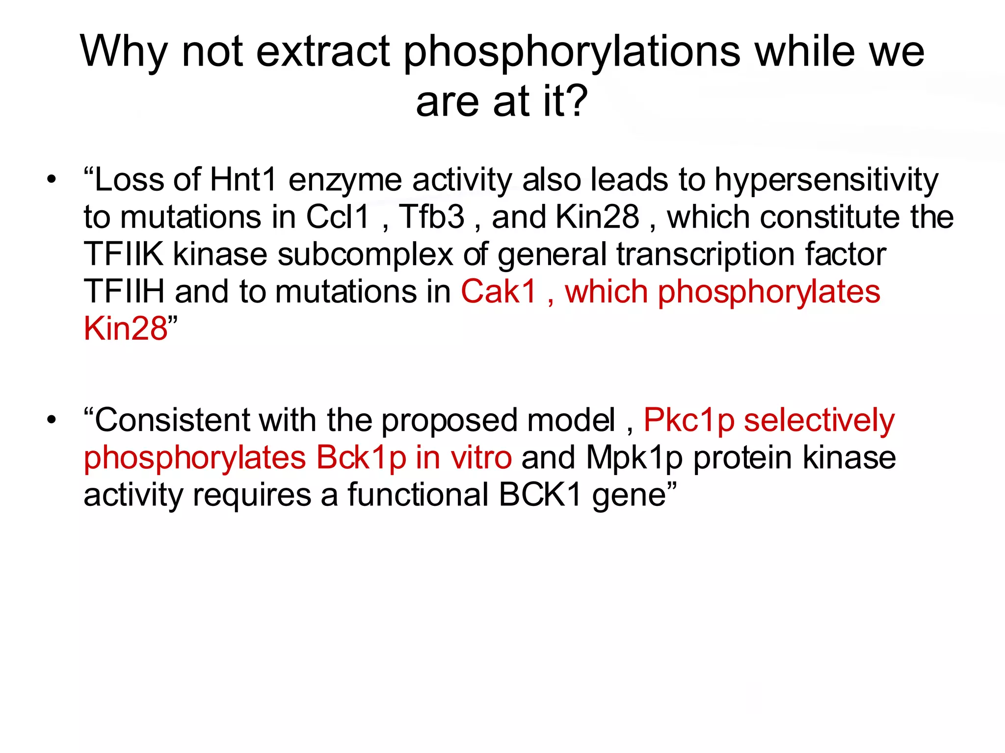 Why not extract phosphorylations while we are at it? “ Loss of Hnt1 enzyme activity also leads to hypersensitivity to mutations in Ccl1 , Tfb3 , and Kin28 , which constitute the TFIIK kinase subcomplex of general transcription factor TFIIH and to mutations in  Cak1 , which phosphorylates Kin28 ” “ Consistent with the proposed model ,  Pkc1p selectively phosphorylates Bck1p in vitro  and Mpk1p protein kinase activity requires a functional BCK1 gene” 