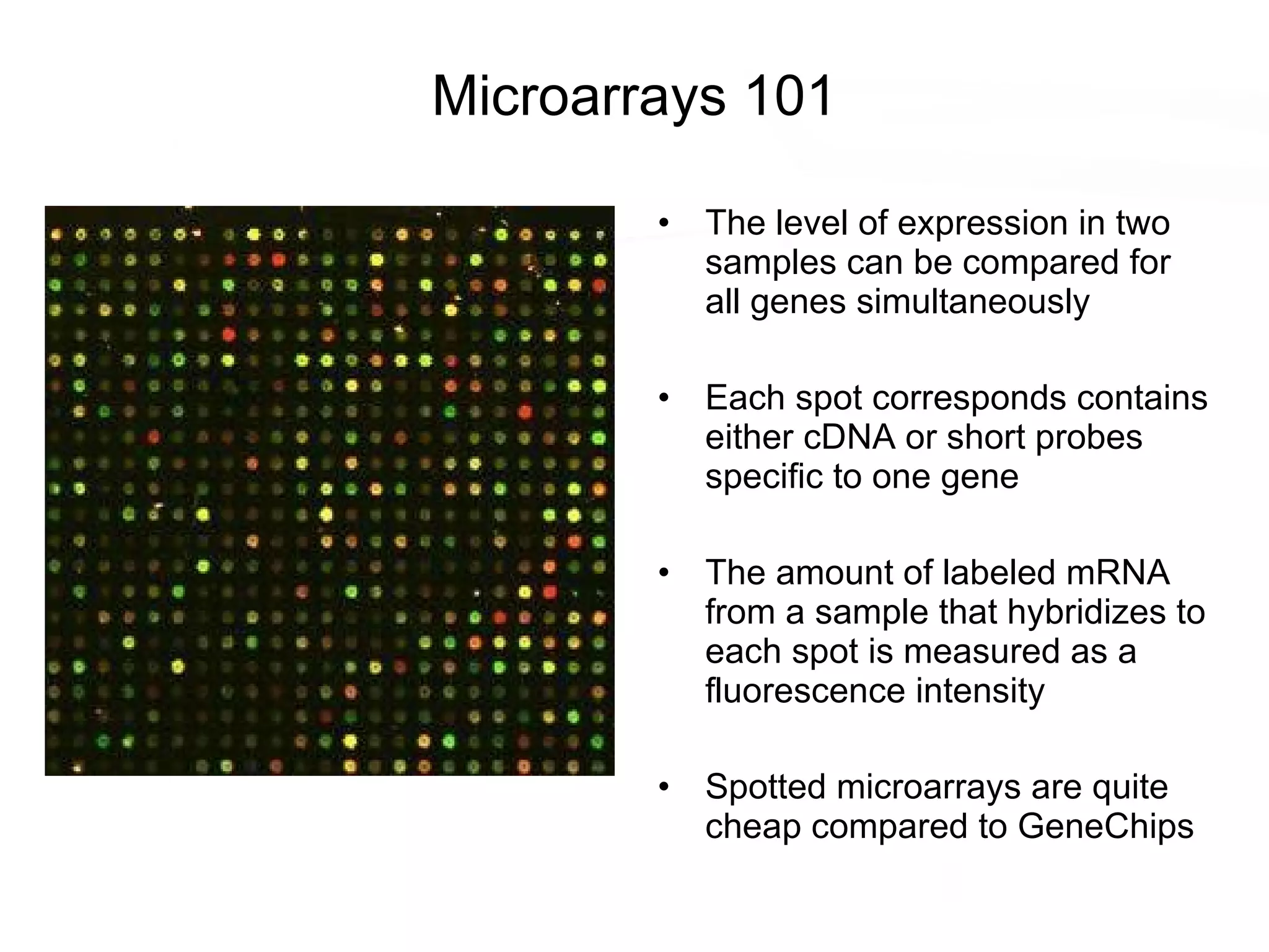 Microarrays 101 The level of expression in two samples can be compared for all genes simultaneously Each spot corresponds contains either cDNA or short probes specific to one gene The amount of labeled mRNA from a sample that hybridizes to each spot is measured as a fluorescence intensity Spotted microarrays are quite cheap compared to GeneChips 