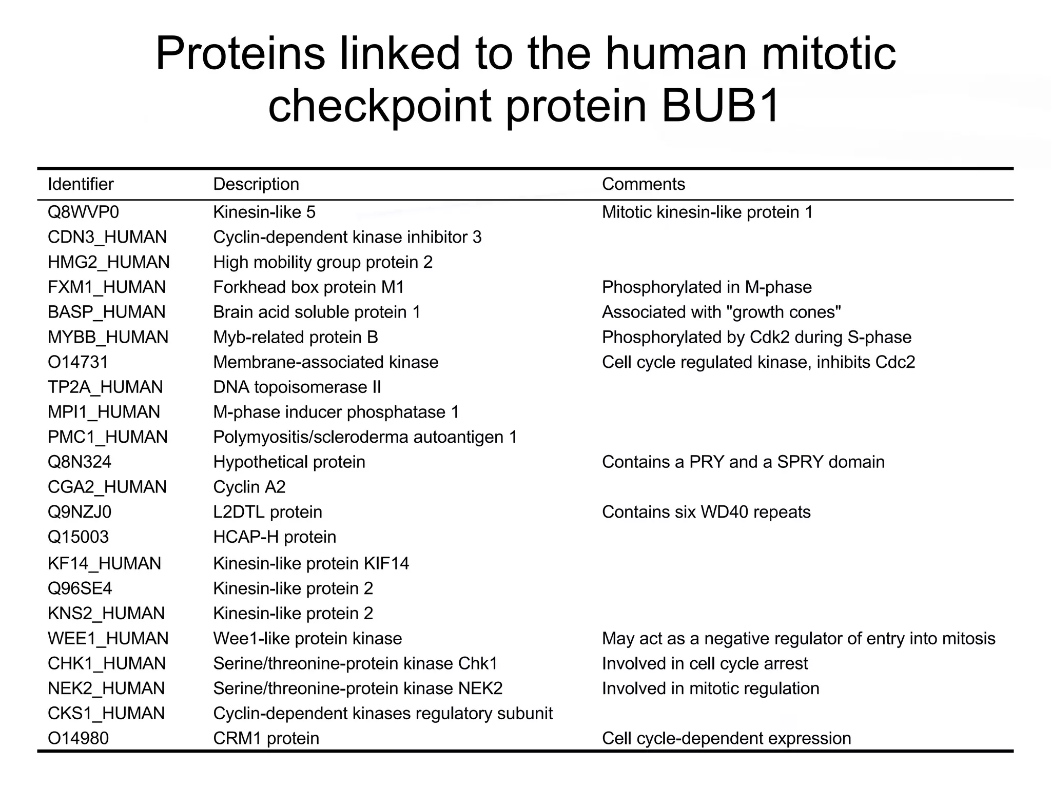 Proteins linked to the human mitotic checkpoint protein BUB1 Comments Description Identifier Cyclin-dependent kinases regulatory subunit CKS1_HUMAN Involved in cell cycle arrest Serine/threonine-protein kinase Chk1 CHK1_HUMAN Involved in mitotic regulation Serine/threonine-protein kinase NEK2 NEK2_HUMAN Cell cycle-dependent expression CRM1 protein O14980 May act as a negative regulator of entry into mitosis Wee1-like protein kinase WEE1_HUMAN Kinesin-like protein 2 KNS2_HUMAN Kinesin-like protein 2 Q96SE4 Kinesin-like protein KIF14 KF14_HUMAN HCAP-H protein Q15003 Contains six WD40 repeats L2DTL protein Q9NZJ0 Cyclin A2 CGA2_HUMAN Contains a PRY and a SPRY domain Hypothetical protein Q8N324 Polymyositis/scleroderma autoantigen 1 PMC1_HUMAN M-phase inducer phosphatase 1 MPI1_HUMAN DNA topoisomerase II TP2A_HUMAN Cell cycle regulated kinase, inhibits Cdc2 Membrane-associated kinase O14731 Phosphorylated by Cdk2 during S-phase Myb-related protein B MYBB_HUMAN Associated with &quot;growth cones&quot; Brain acid soluble protein 1 BASP_HUMAN Phosphorylated in M-phase Forkhead box protein M1 FXM1_HUMAN High mobility group protein 2 HMG2_HUMAN Cyclin-dependent kinase inhibitor 3 CDN3_HUMAN Mitotic kinesin-like protein 1 Kinesin-like 5 Q8WVP0 