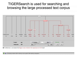 TIGERSearch is used for searching and browsing the large processed text corpus 