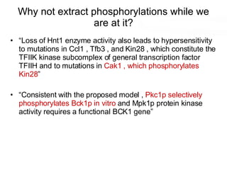 Why not extract phosphorylations while we are at it? “ Loss of Hnt1 enzyme activity also leads to hypersensitivity to mutations in Ccl1 , Tfb3 , and Kin28 , which constitute the TFIIK kinase subcomplex of general transcription factor TFIIH and to mutations in  Cak1 , which phosphorylates Kin28 ” “ Consistent with the proposed model ,  Pkc1p selectively phosphorylates Bck1p in vitro  and Mpk1p protein kinase activity requires a functional BCK1 gene” 