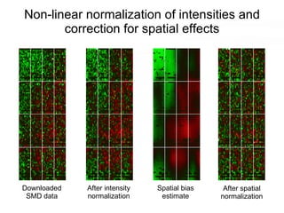 Non-linear normalization of intensities and correction for spatial effects Downloaded SMD data After intensity normalization Spatial bias estimate After spatial normalization 