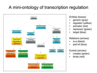 A mini-ontology of transcription regulation Entities (boxes) generic (gray) regulator (yellow) activator (red) repressor (green) target (blue) Relations (arrows) is-a (black) part-of (blue) Events (arrows) creates (green) binds (red) 