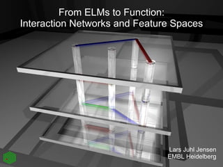 From ELMs to Function: Interaction Networks and Feature Spaces Lars Juhl Jensen EMBL Heidelberg 
