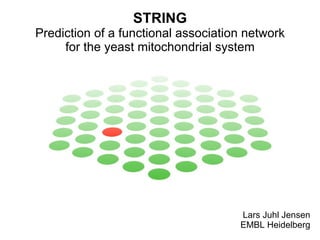 STRING Prediction of a functional association network for the yeast mitochondrial system Lars Juhl Jensen EMBL Heidelberg 