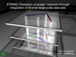 STRING: Prediction of protein networks through integration of diverse large-scale data sets Lars Juhl Jensen EMBL Heidelberg 