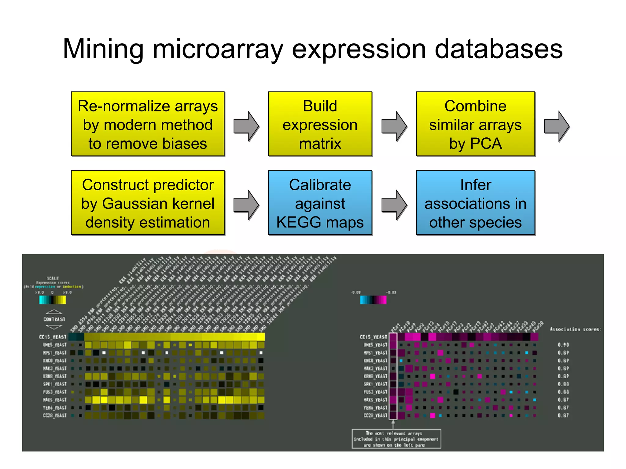 Mining microarray expression databases Re-normalize arrays by modern method to remove biases Build expression matrix Combine similar arrays by PCA Construct predictor by Gaussian kernel density estimation Calibrate against KEGG maps Infer associations in other species 