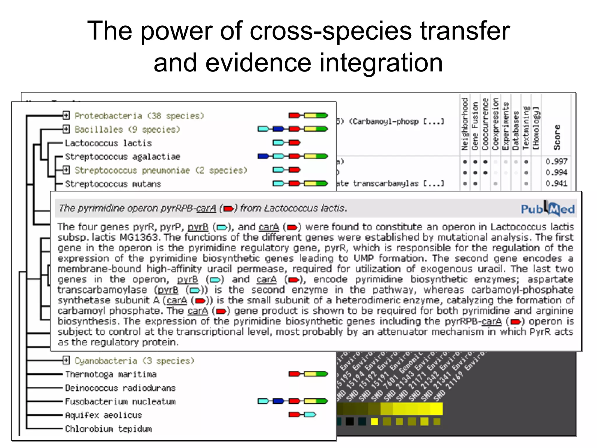 The power of cross-species transfer and evidence integration 