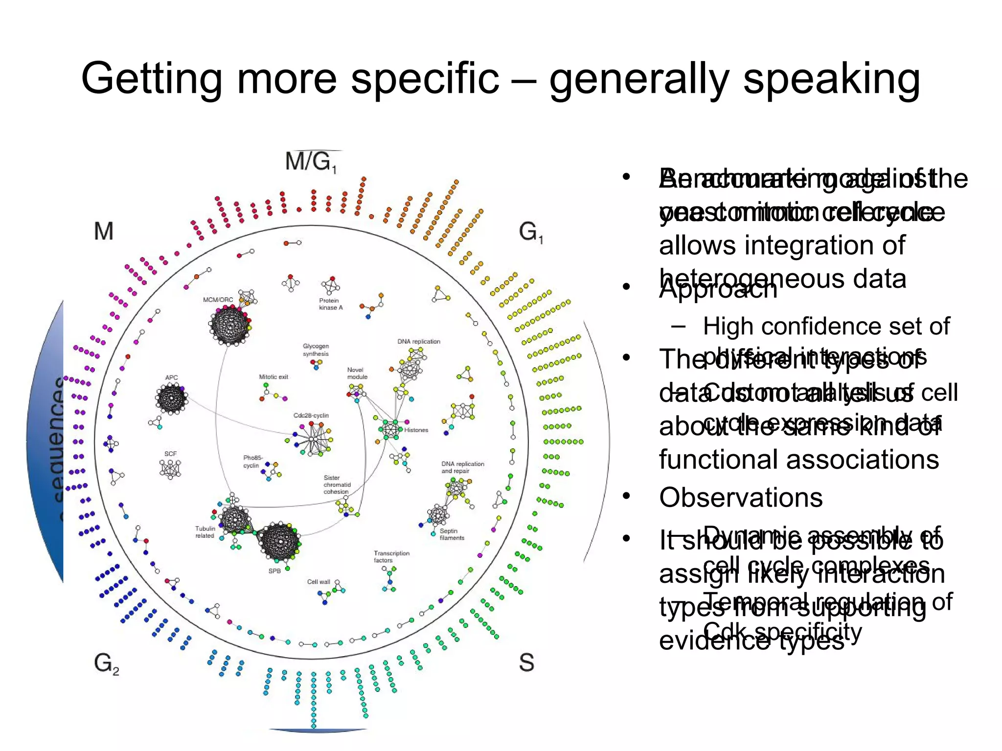 Getting more specific – generally speaking Benchmarking against one common reference allows integration of heterogeneous data The different types of data do not all tell us about the same kind of functional associations It should be possible to assign likely interaction types from supporting evidence types An accurate model of the yeast mitotic cell cycle Approach High confidence set of physical interactions Custom analysis of cell cycle expression data Observations Dynamic assembly of cell cycle complexes Temporal regulation of Cdk specificity 