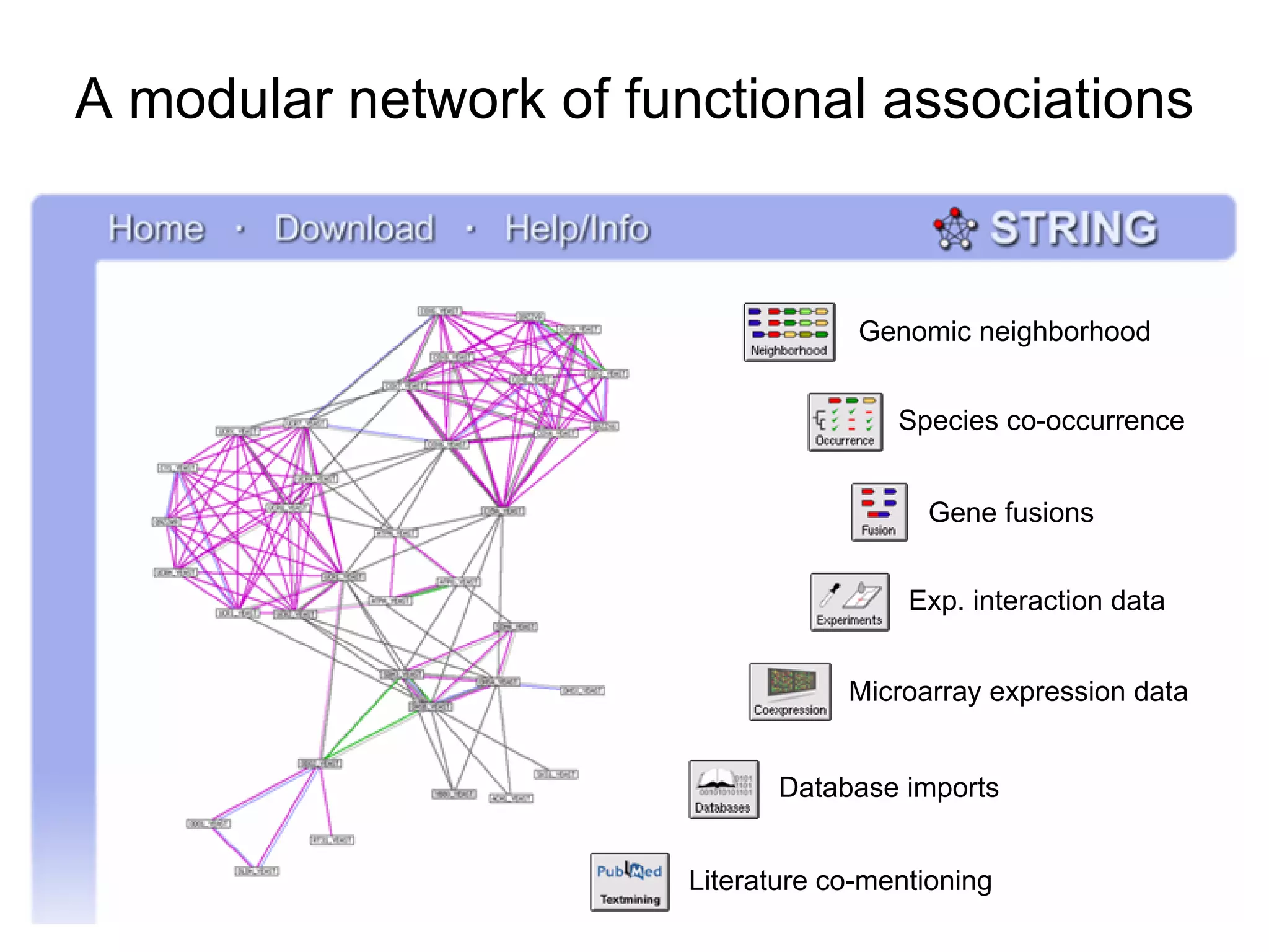 A modular network of functional associations Genomic neighborhood Species co-occurrence Gene fusions Database imports Exp. interaction data Microarray expression data Literature co-mentioning 