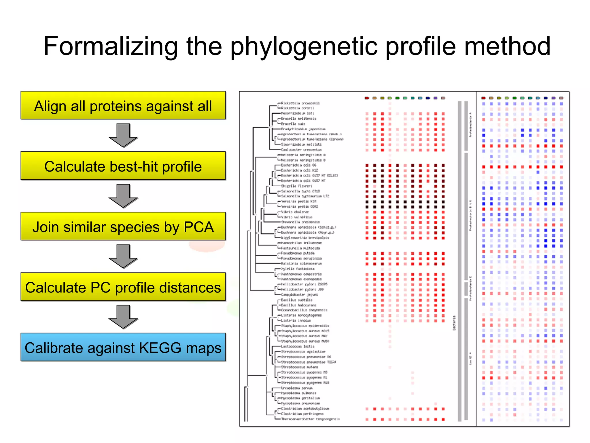 Formalizing the phylogenetic profile method Align all proteins against all Calculate best-hit profile Join similar species by PCA Calculate PC profile distances Calibrate against KEGG maps 