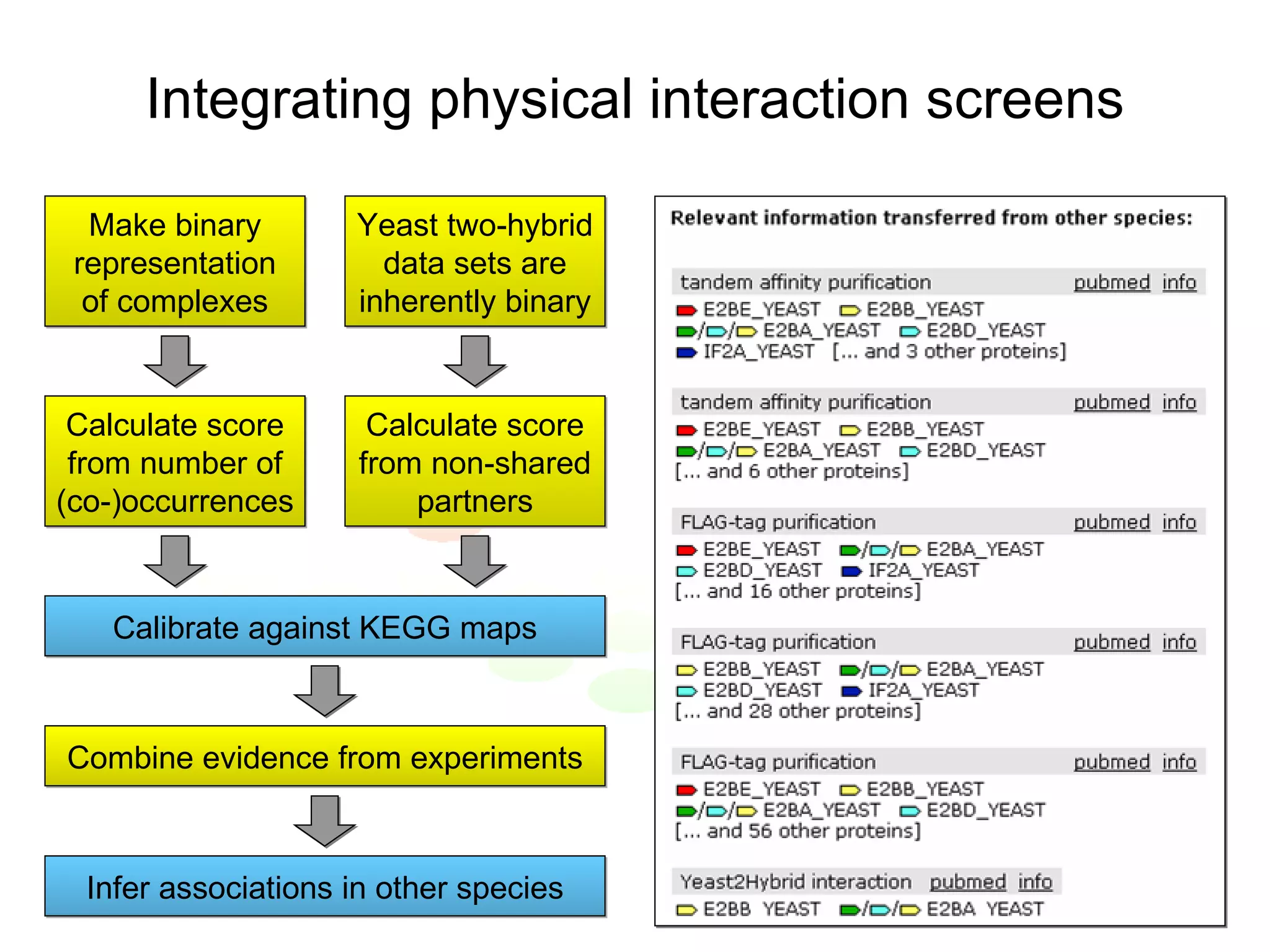 Integrating physical interaction screens Make binary representation of complexes Yeast two-hybrid data sets are inherently binary Calculate score from number of (co-)occurrences Calculate score from non-shared partners Calibrate against KEGG maps Infer associations in other species Combine evidence from experiments 