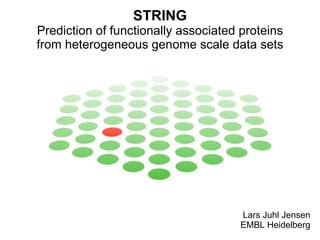 STRING Prediction of functionally associated proteins from heterogeneous genome scale data sets Lars Juhl Jensen EMBL Heidelberg 