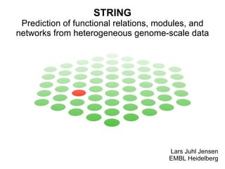STRING Prediction of functional relations, modules, and networks from heterogeneous genome-scale data Lars Juhl Jensen EMBL Heidelberg 