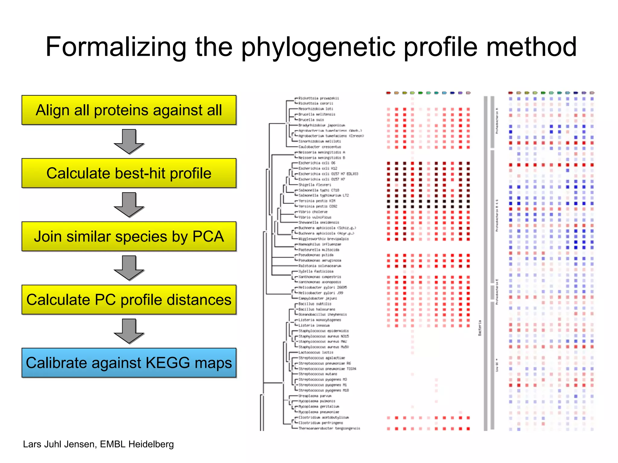 Formalizing the phylogenetic profile method Align all proteins against all Calculate best-hit profile Join similar species by PCA Calculate PC profile distances Calibrate against KEGG maps 