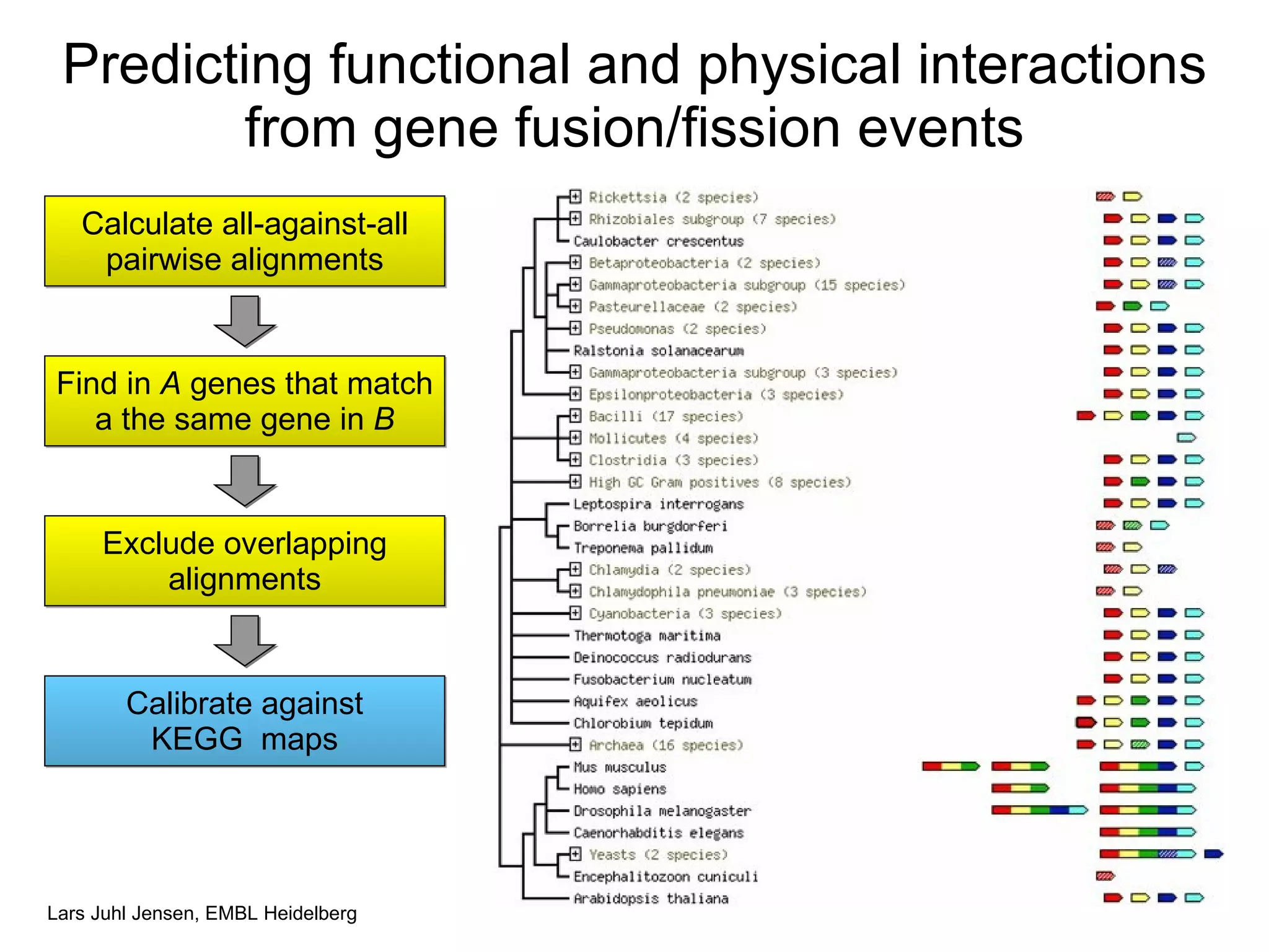 Predicting functional and physical interactions from gene fusion/fission events Find in  A  genes that match a the same gene in  B Exclude overlapping alignments Calibrate against KEGG  maps Calculate all-against-all pairwise alignments 