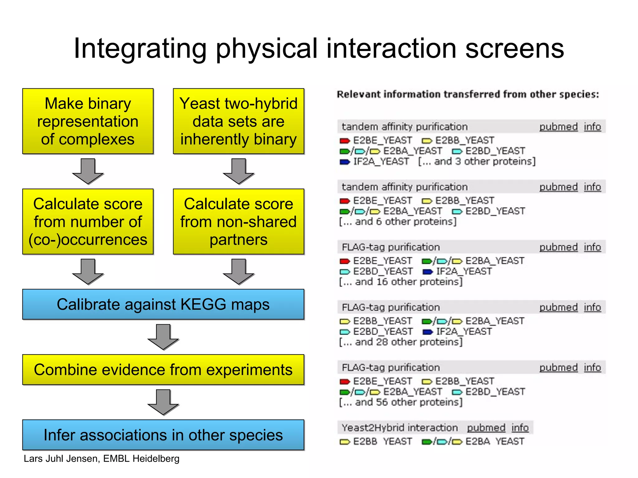 Integrating physical interaction screens Make binary representation of complexes Yeast two-hybrid data sets are inherently binary Calculate score from number of (co-)occurrences Calculate score from non-shared partners Calibrate against KEGG maps Infer associations in other species Combine evidence from experiments 