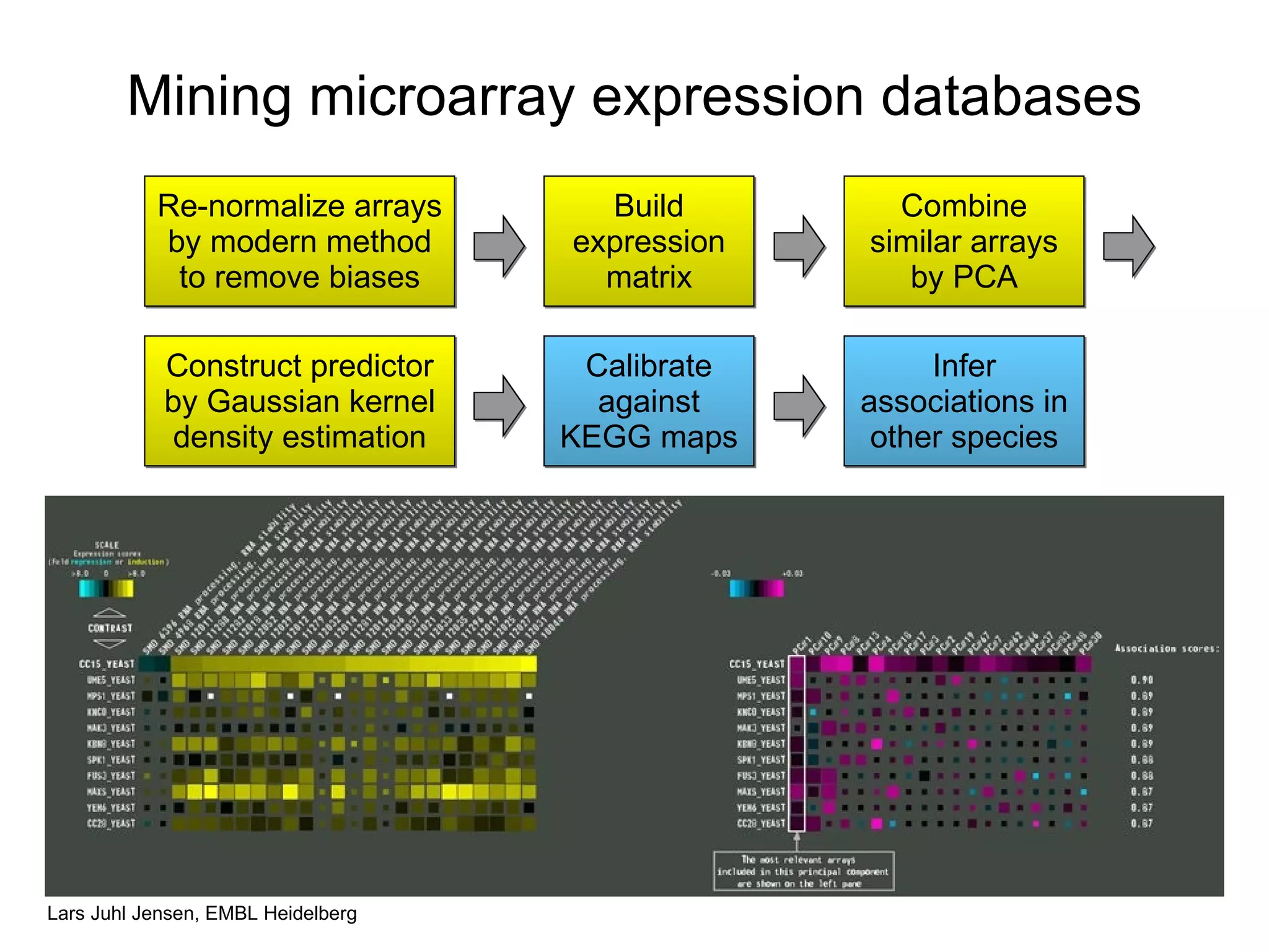 Mining microarray expression databases Re-normalize arrays by modern method to remove biases Build expression matrix Combine similar arrays by PCA Construct predictor by Gaussian kernel density estimation Calibrate against KEGG maps Infer associations in other species 