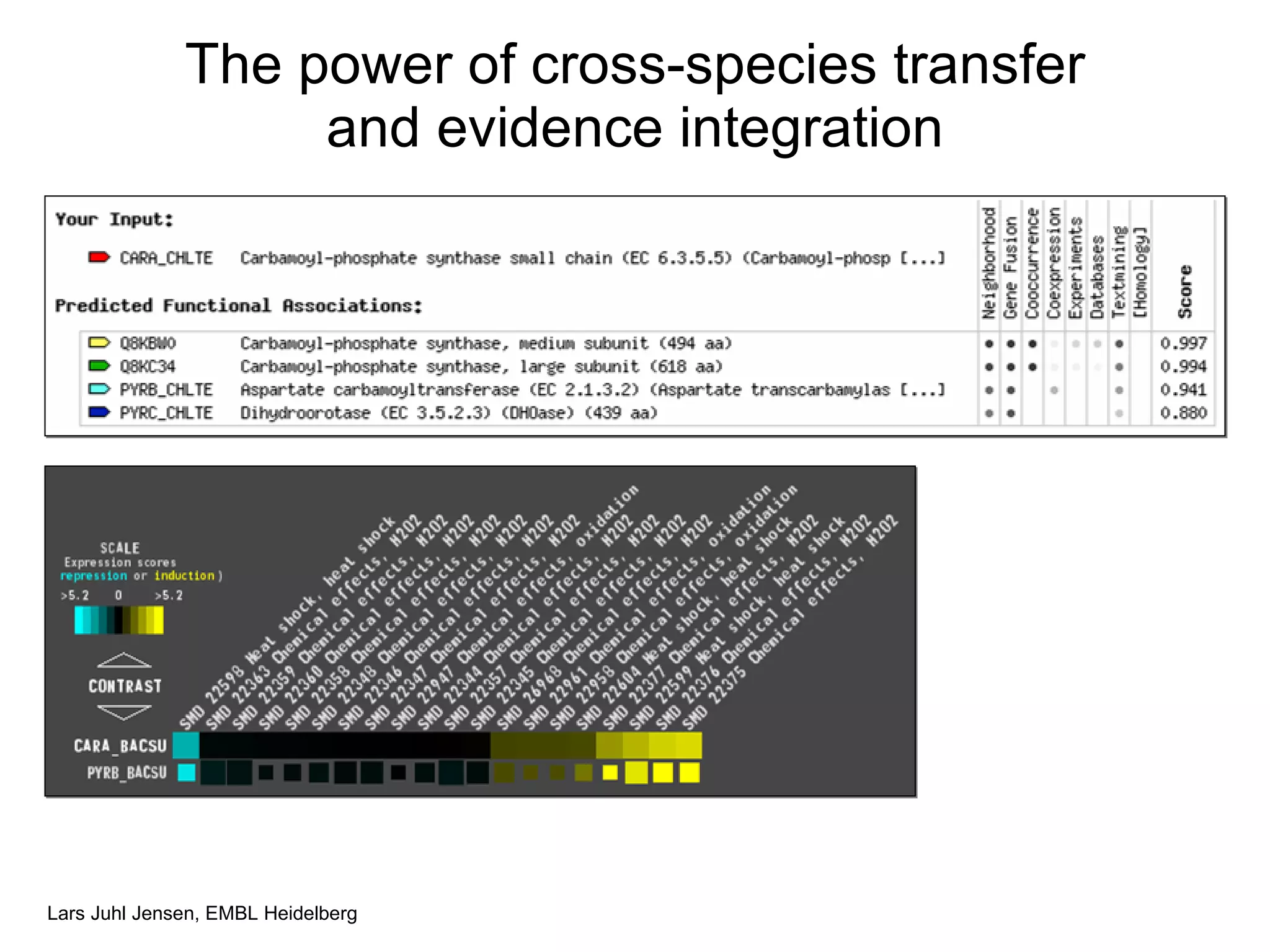 The power of cross-species transfer and evidence integration 