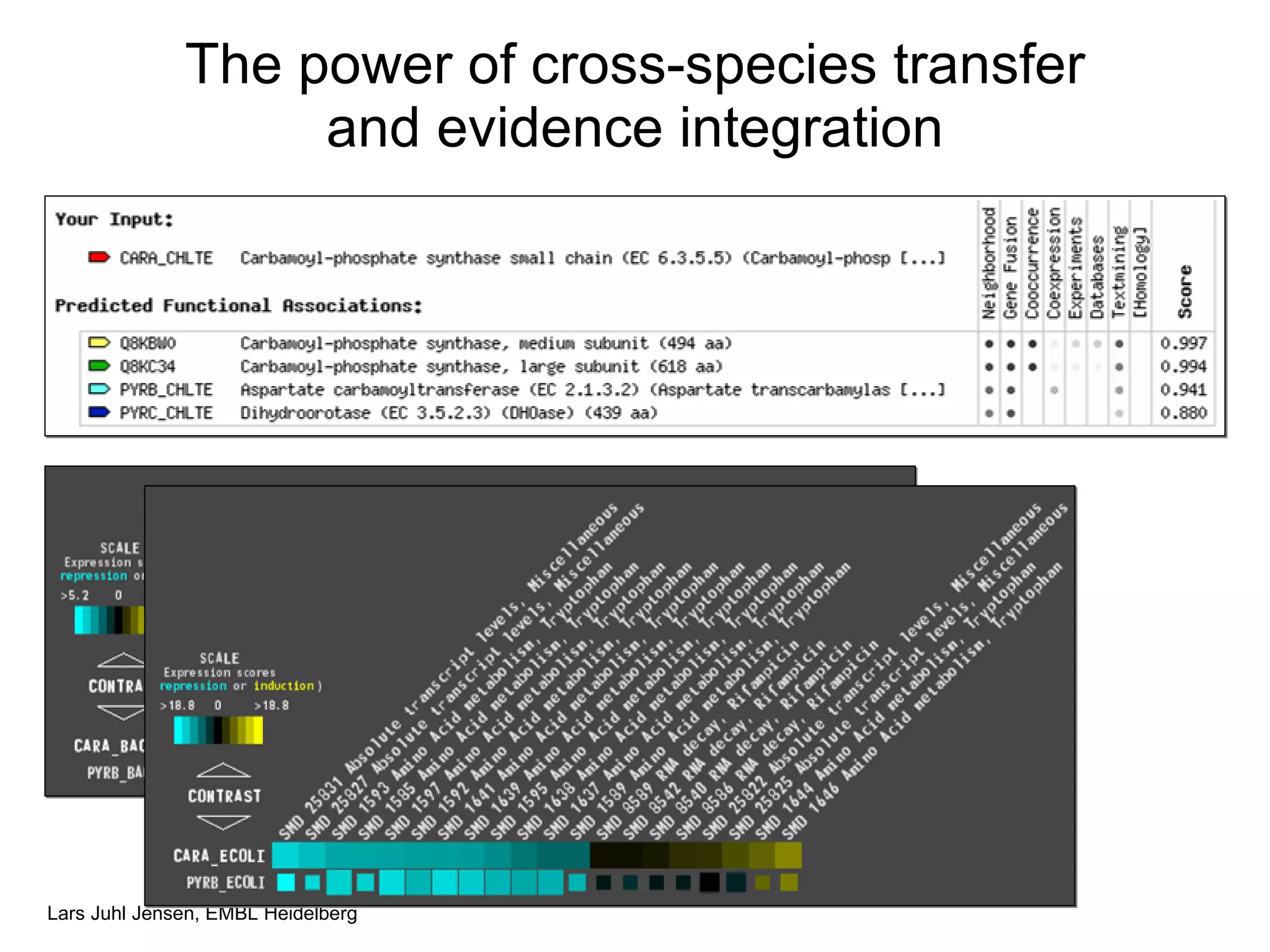 The power of cross-species transfer and evidence integration 
