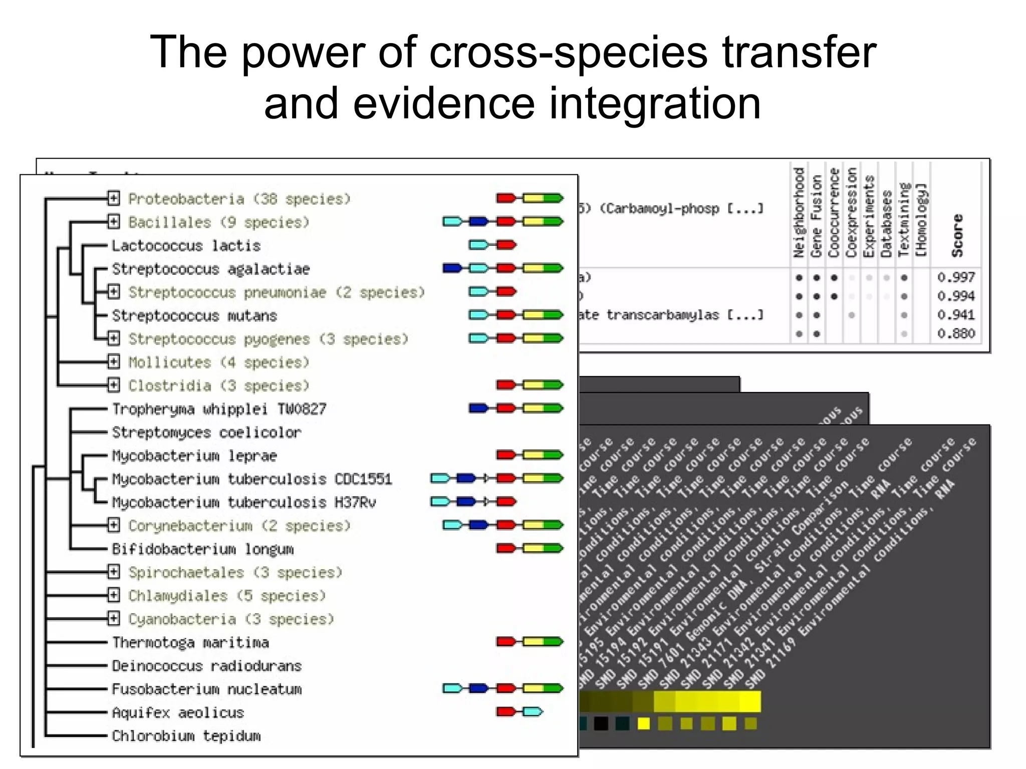 The power of cross-species transfer and evidence integration 