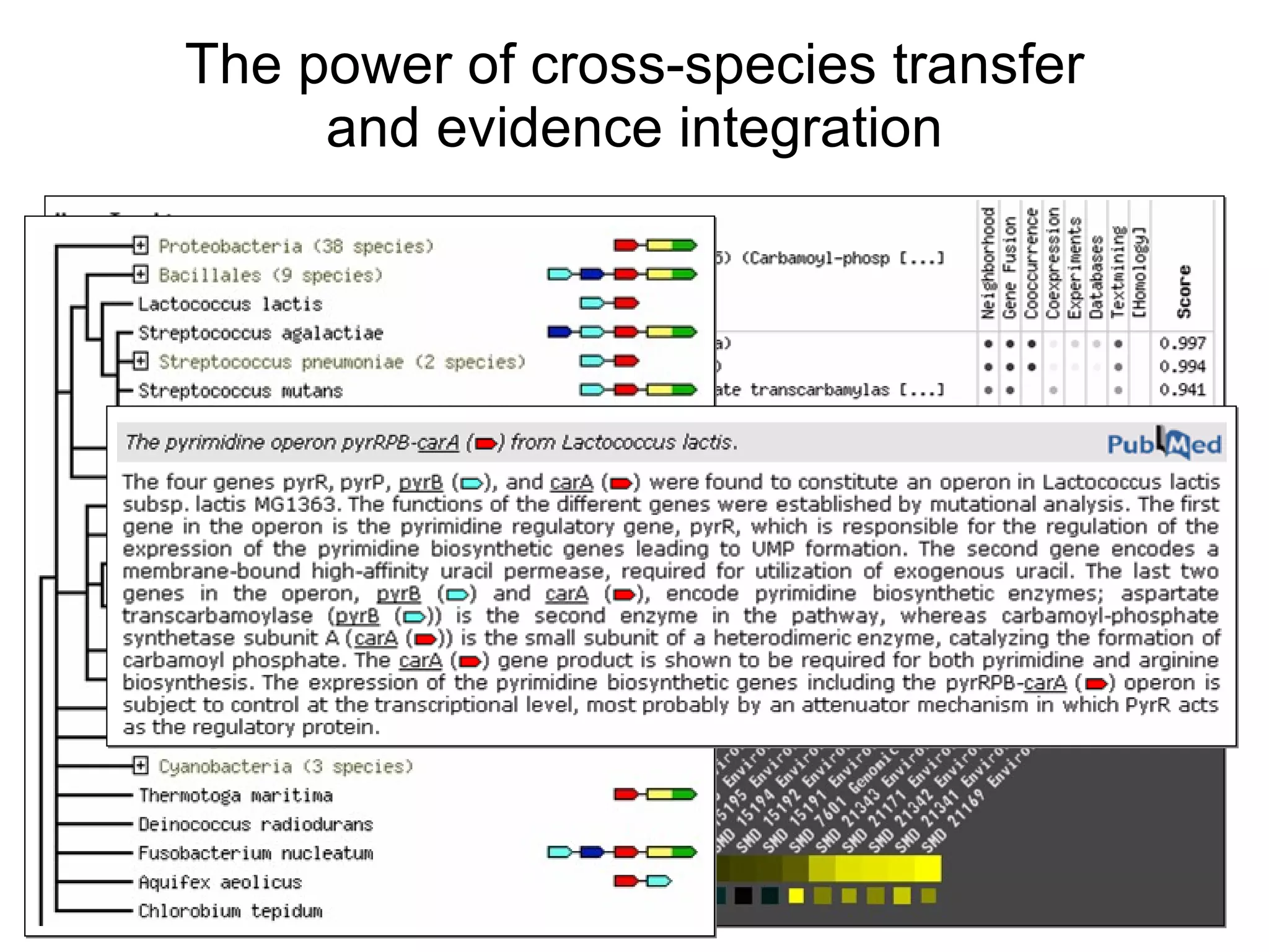 The power of cross-species transfer and evidence integration 