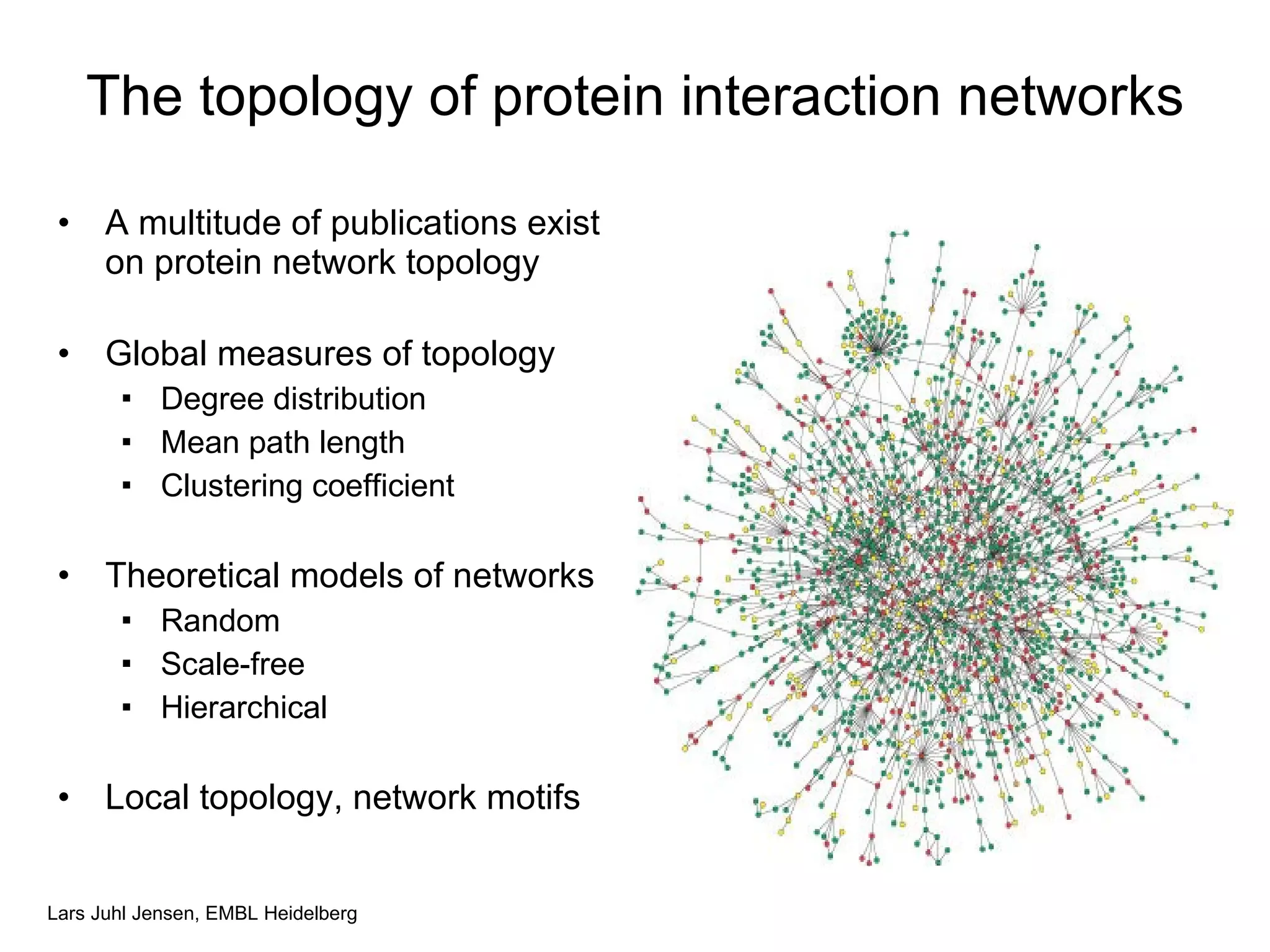 The topology of protein interaction networks A multitude of publications exist on protein network topology Global measures of topology Degree distribution Mean path length Clustering coefficient Theoretical models of networks Random Scale-free Hierarchical Local topology, network motifs 