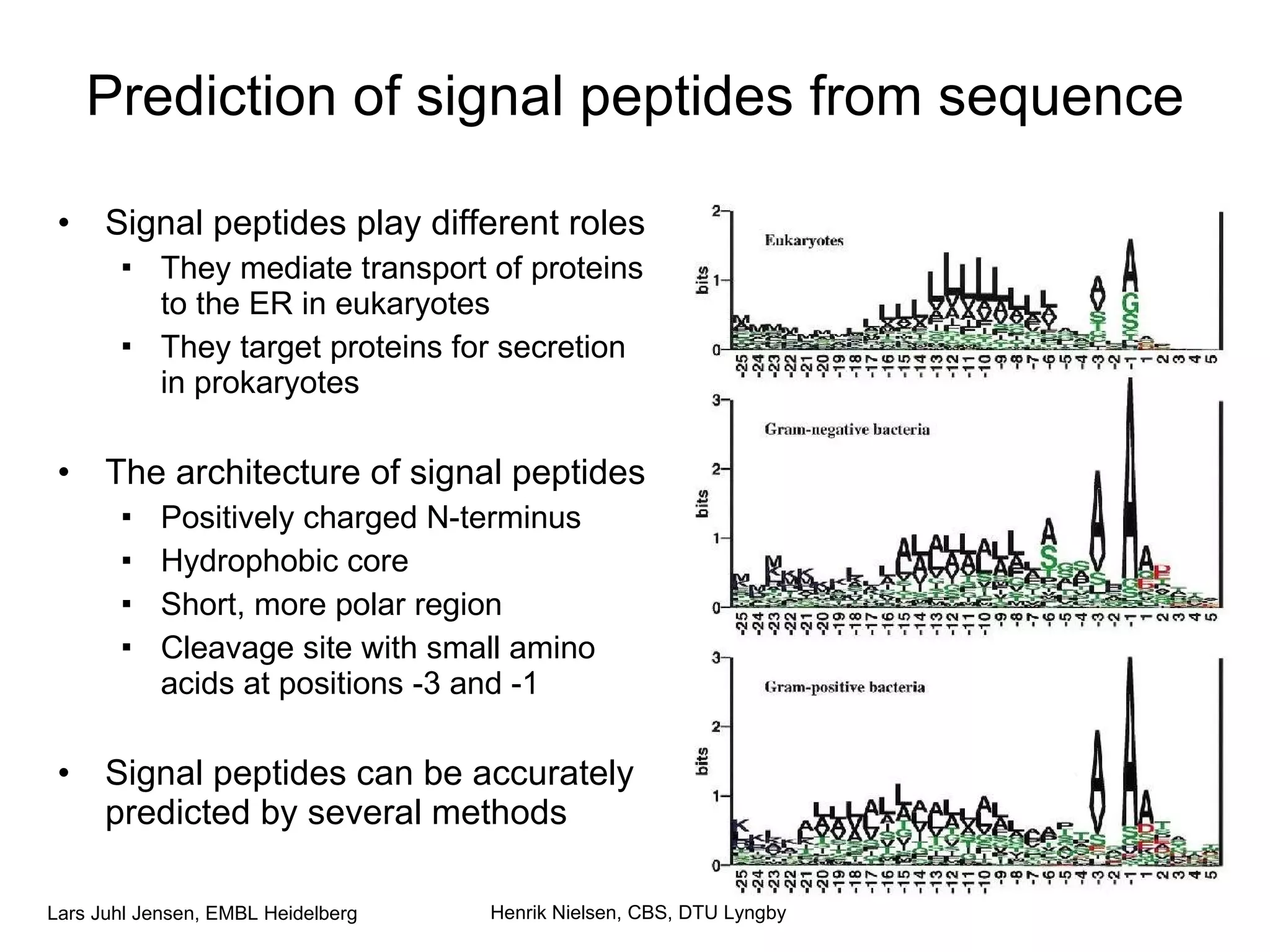 Prediction of signal peptides from sequence Signal peptides play different roles They mediate transport of proteins  to the ER in eukaryotes They target proteins for secretion in prokaryotes The architecture of signal peptides Positively charged N-terminus Hydrophobic core Short, more polar region Cleavage site with small amino acids at positions -3 and -1 Signal peptides can be accurately predicted by several methods Henrik Nielsen, CBS, DTU Lyngby 