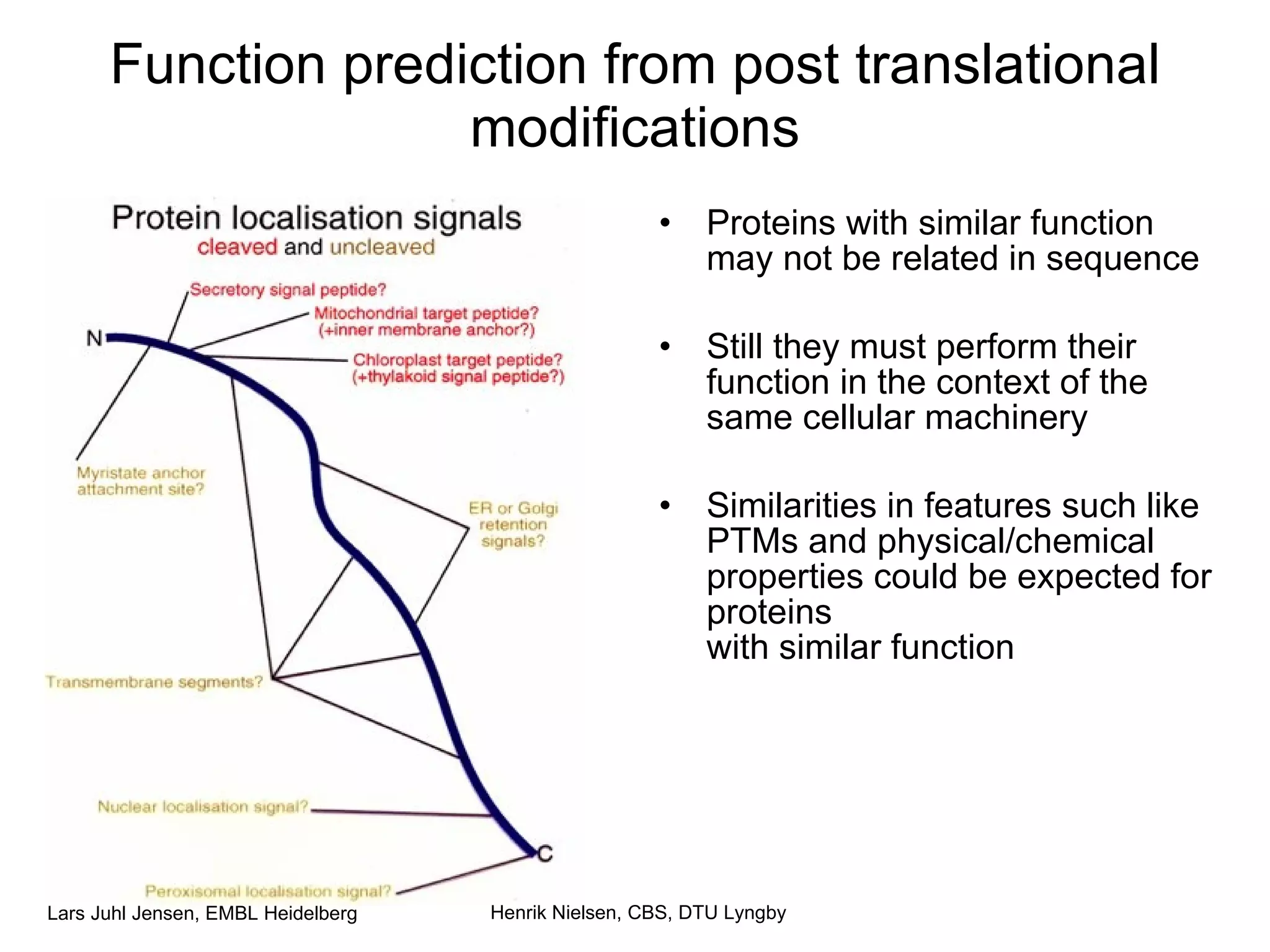 Function prediction from post translational modifications Proteins with similar function may not be related in sequence Still they must perform their function in the context of the same cellular machinery Similarities in features such like PTMs and physical/chemical properties could be expected for proteins with similar function Henrik Nielsen, CBS, DTU Lyngby 