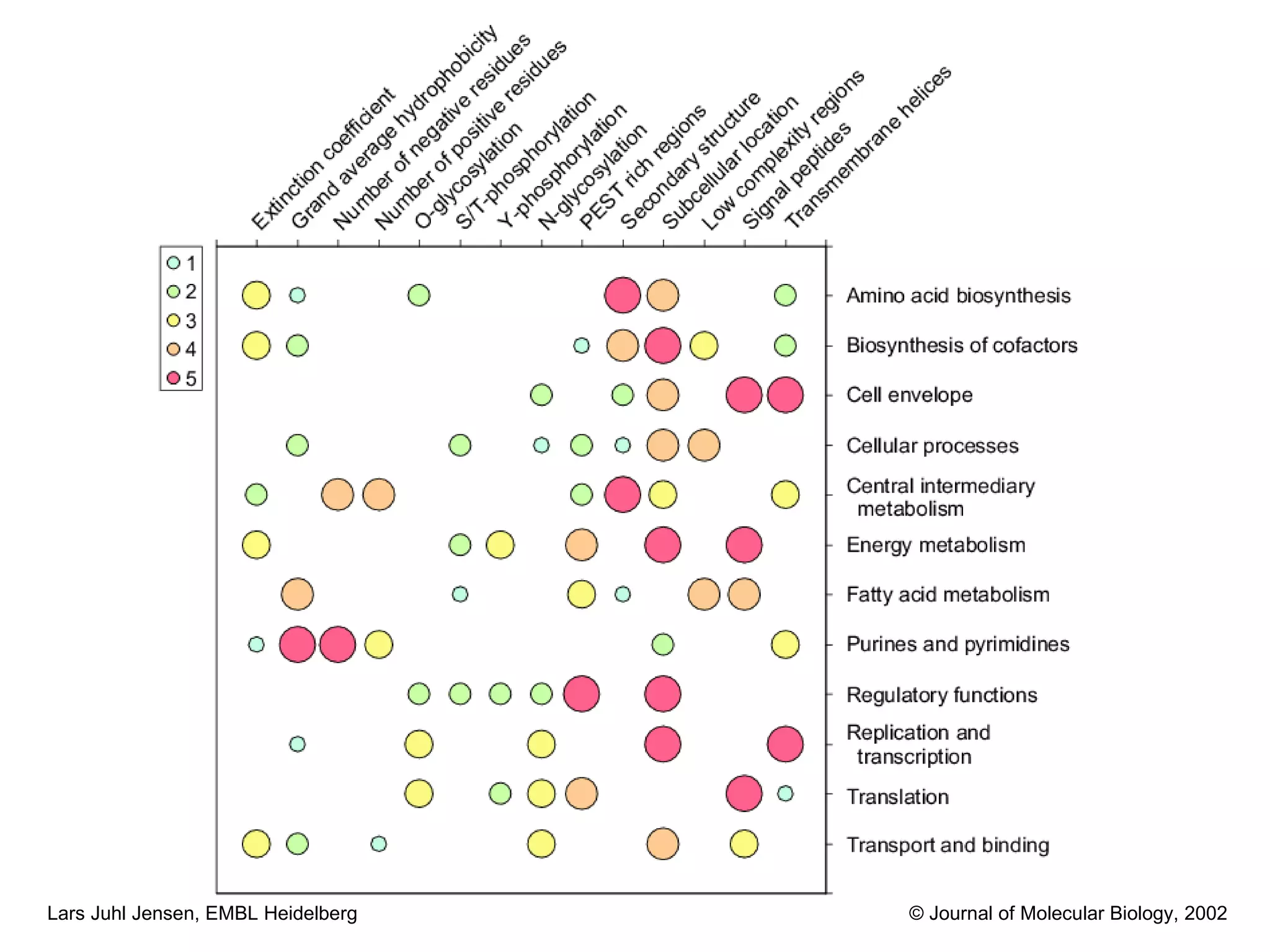 © Journal of Molecular Biology, 2002 