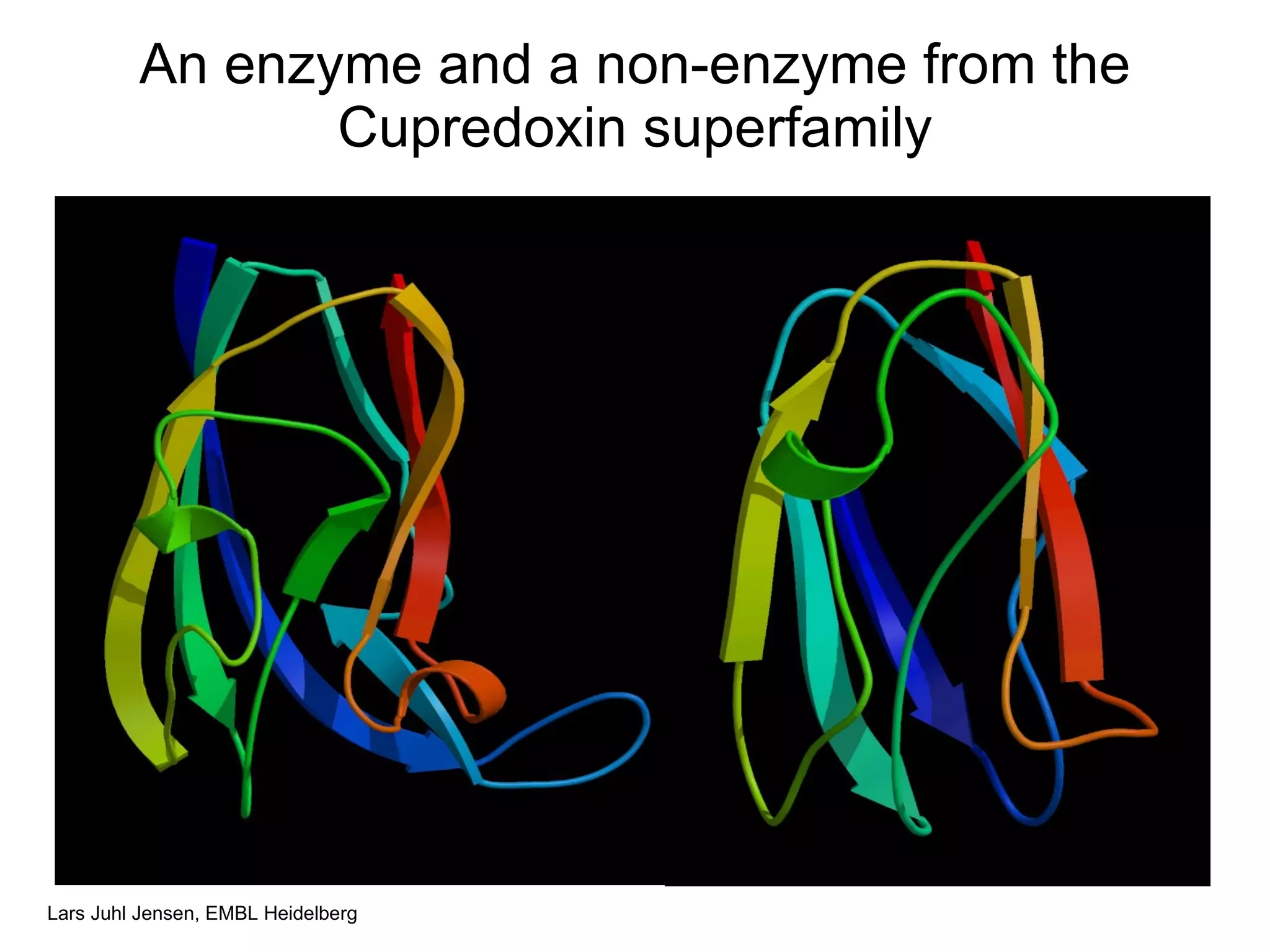 An enzyme and a non-enzyme from the Cupredoxin superfamily 
