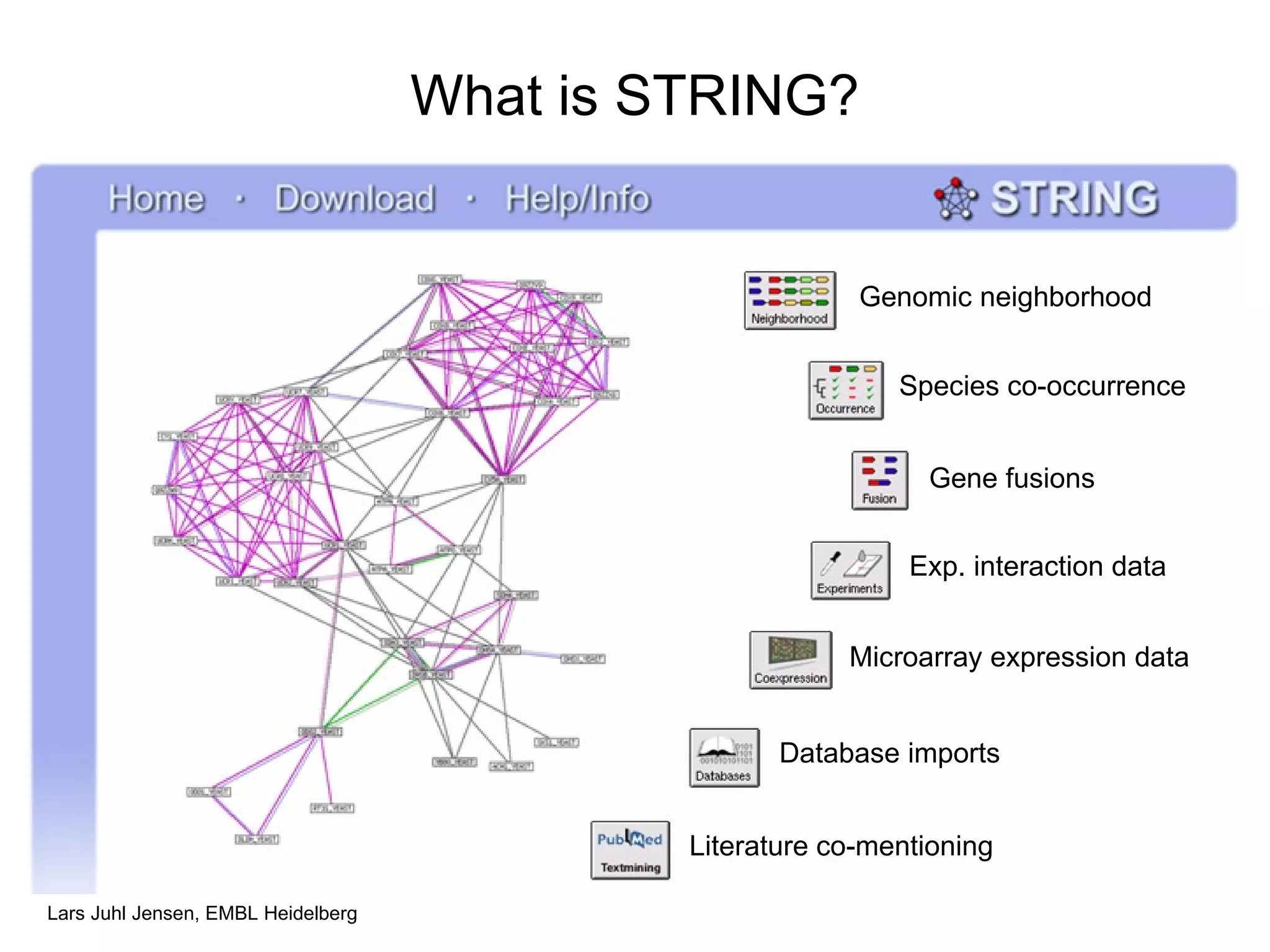 What is STRING? Genomic neighborhood Species co-occurrence Gene fusions Database imports Exp. interaction data Microarray expression data Literature co-mentioning 