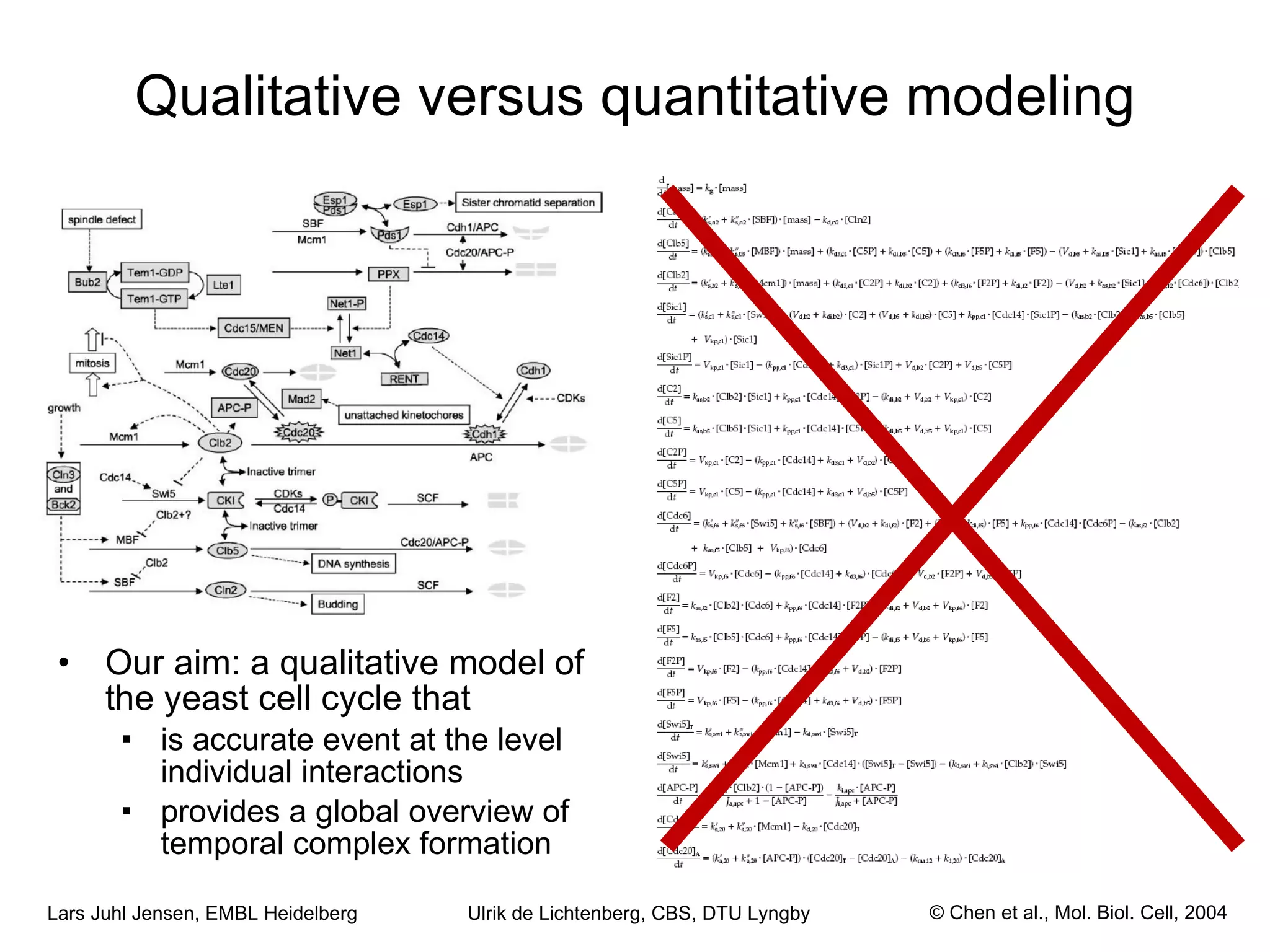 Qualitative versus quantitative modeling Our aim: a qualitative model of the yeast cell cycle that is accurate event at the level individual interactions provides a global overview of temporal complex formation © Chen et al., Mol. Biol. Cell, 2004 Ulrik de Lichtenberg, CBS, DTU Lyngby 