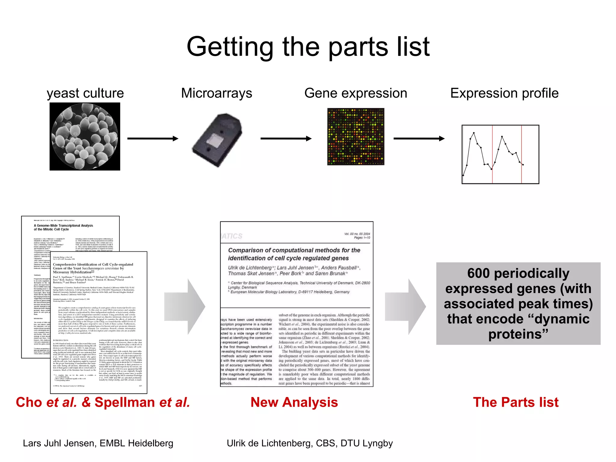 Getting the parts list yeast culture Microarrays Gene expression Expression profile Ulrik de Lichtenberg, CBS, DTU Lyngby Cho  et al. &  Spellman  et al. 600 periodically expressed genes (with associated peak times) that encode “dynamic proteins” The Parts list New Analysis 
