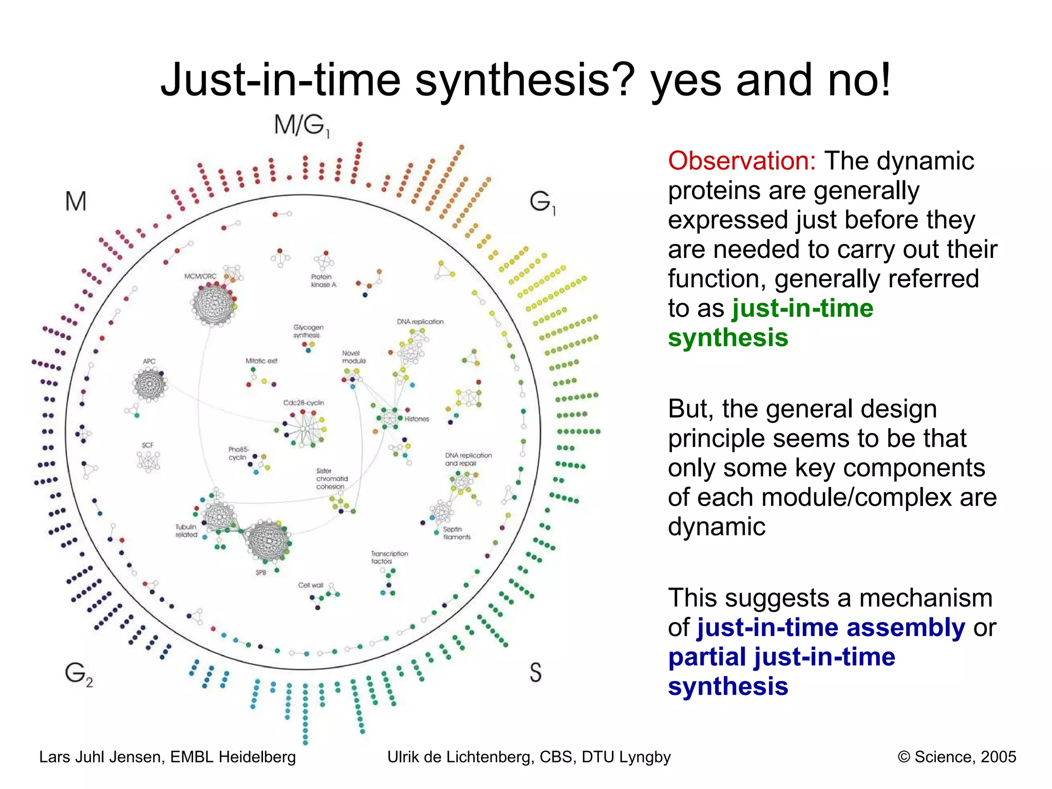 Just-in-time synthesis? yes and no! Observation:  The dynamic proteins are generally expressed just before they are needed to carry out their function, generally referred to as  just-in-time synthesis But, the general design principle seems to be that only some key components of each module/complex are dynamic This suggests a mechanism of  just-in-time assembly  or  partial just-in-time synthesis Ulrik de Lichtenberg, CBS, DTU Lyngby © Science, 2005 