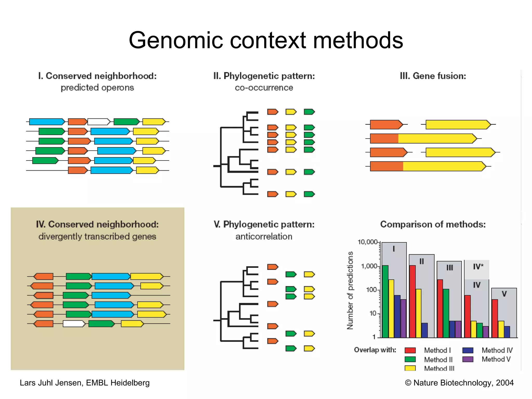 Genomic context methods © Nature Biotechnology, 2004 