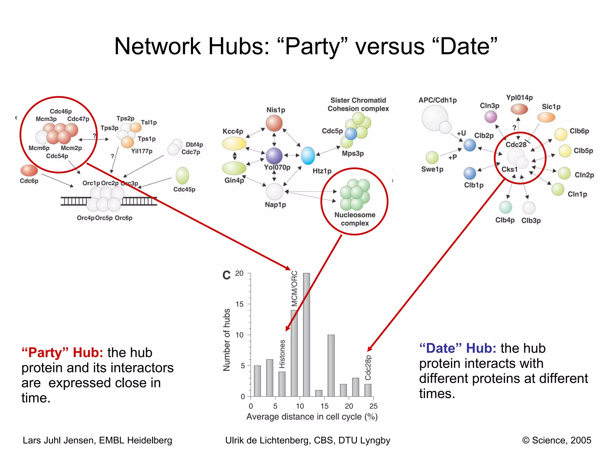 Network Hubs: “Party” versus “Date” “ Date” Hub:  the hub protein interacts with different proteins at different times. “ Party” Hub:   the hub protein and its interactors are  expressed close in time. Ulrik de Lichtenberg, CBS, DTU Lyngby © Science, 2005 