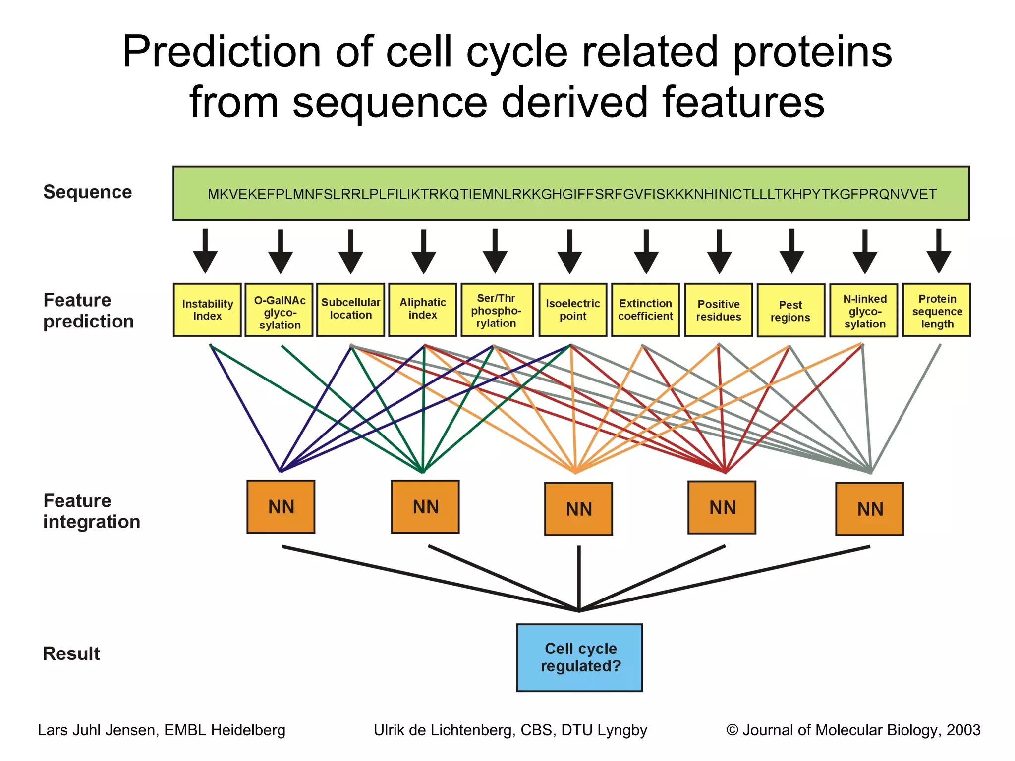 Prediction of cell cycle related proteins from sequence derived features Ulrik de Lichtenberg, CBS, DTU Lyngby © Journal of Molecular Biology, 2003 