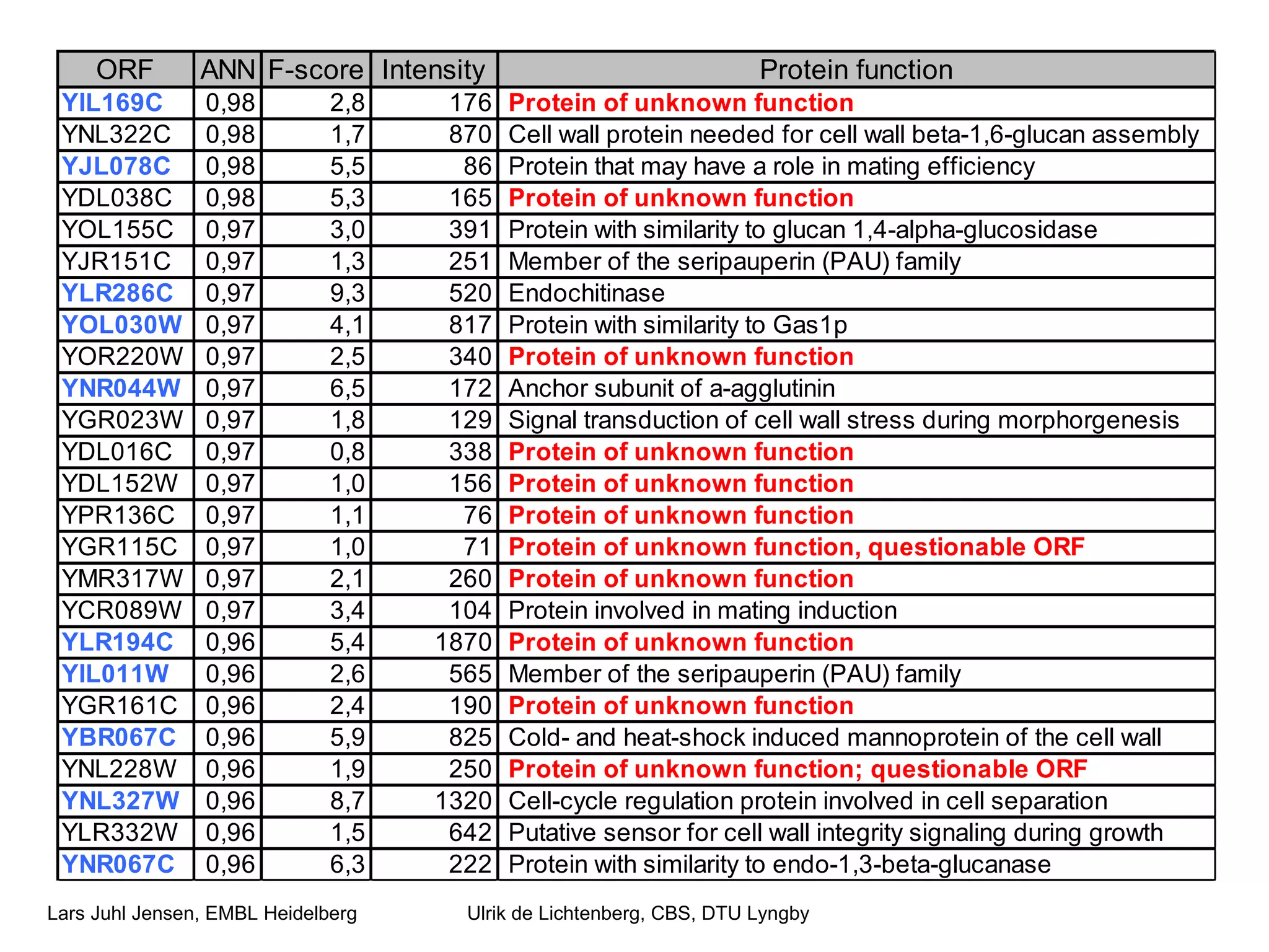 Ulrik de Lichtenberg, CBS, DTU Lyngby 