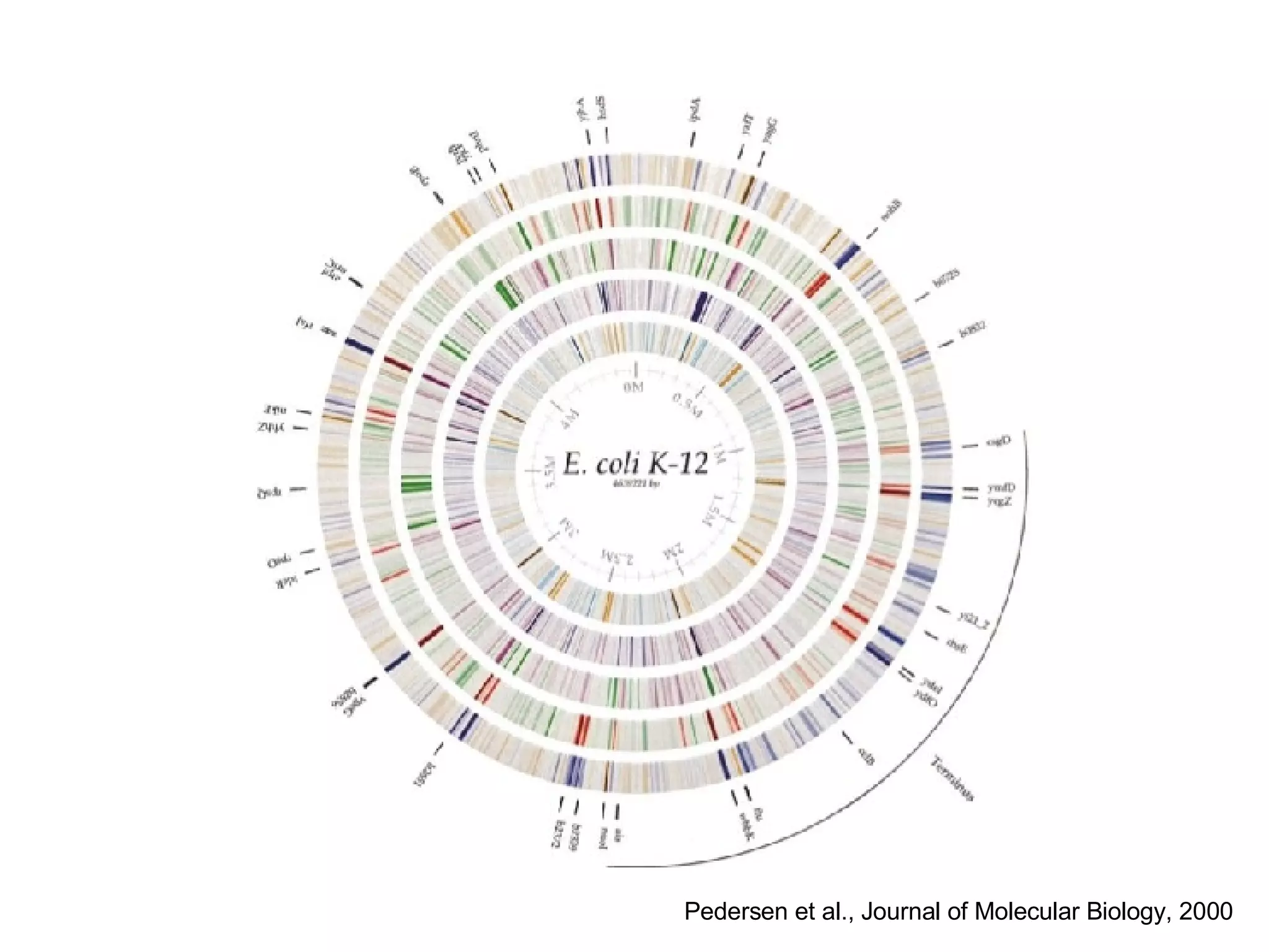 Pedersen et al., Journal of Molecular Biology, 2000 